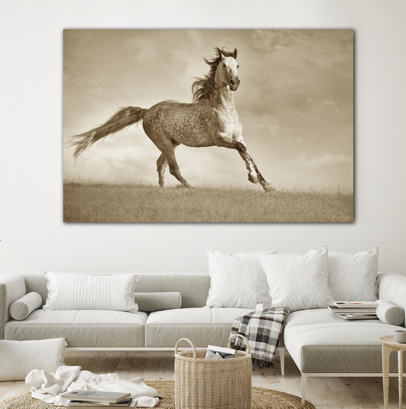 Like the Wind by Lisa Dearing on GIANT ART - multicolor photography; animals