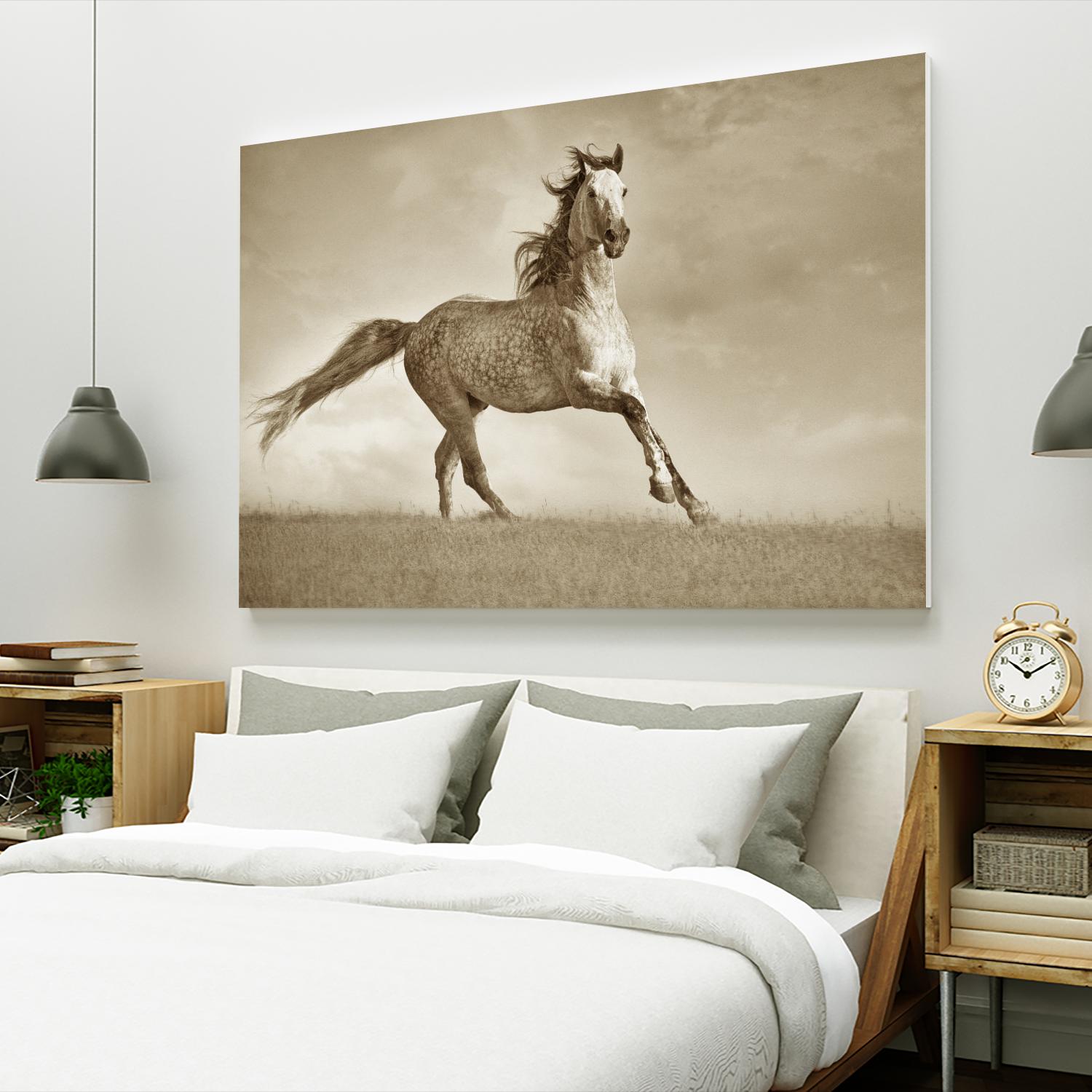 Like the Wind by Lisa Dearing on GIANT ART - multicolor photography; animals