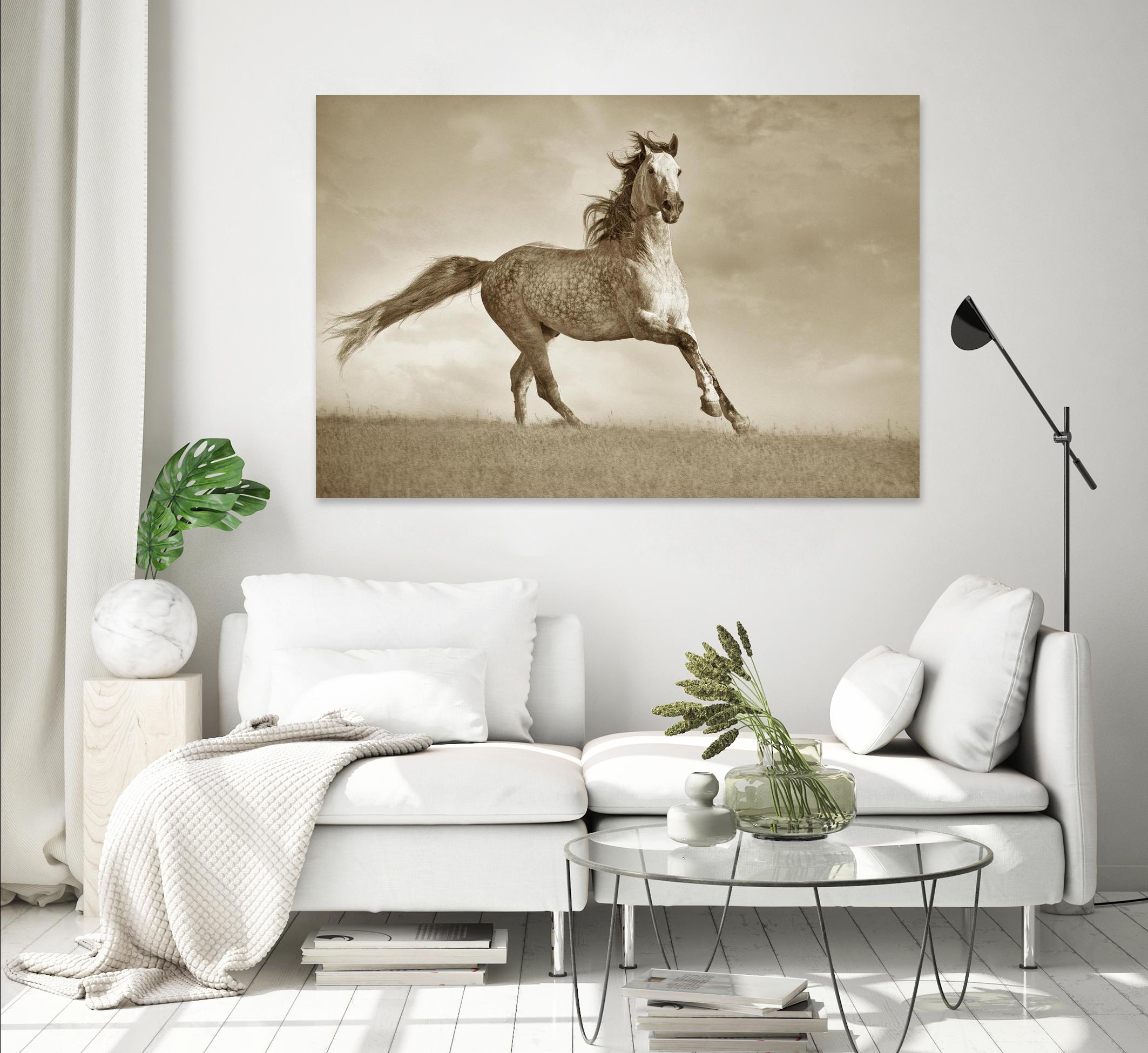 Like the Wind by Lisa Dearing on GIANT ART - multicolor photography; animals