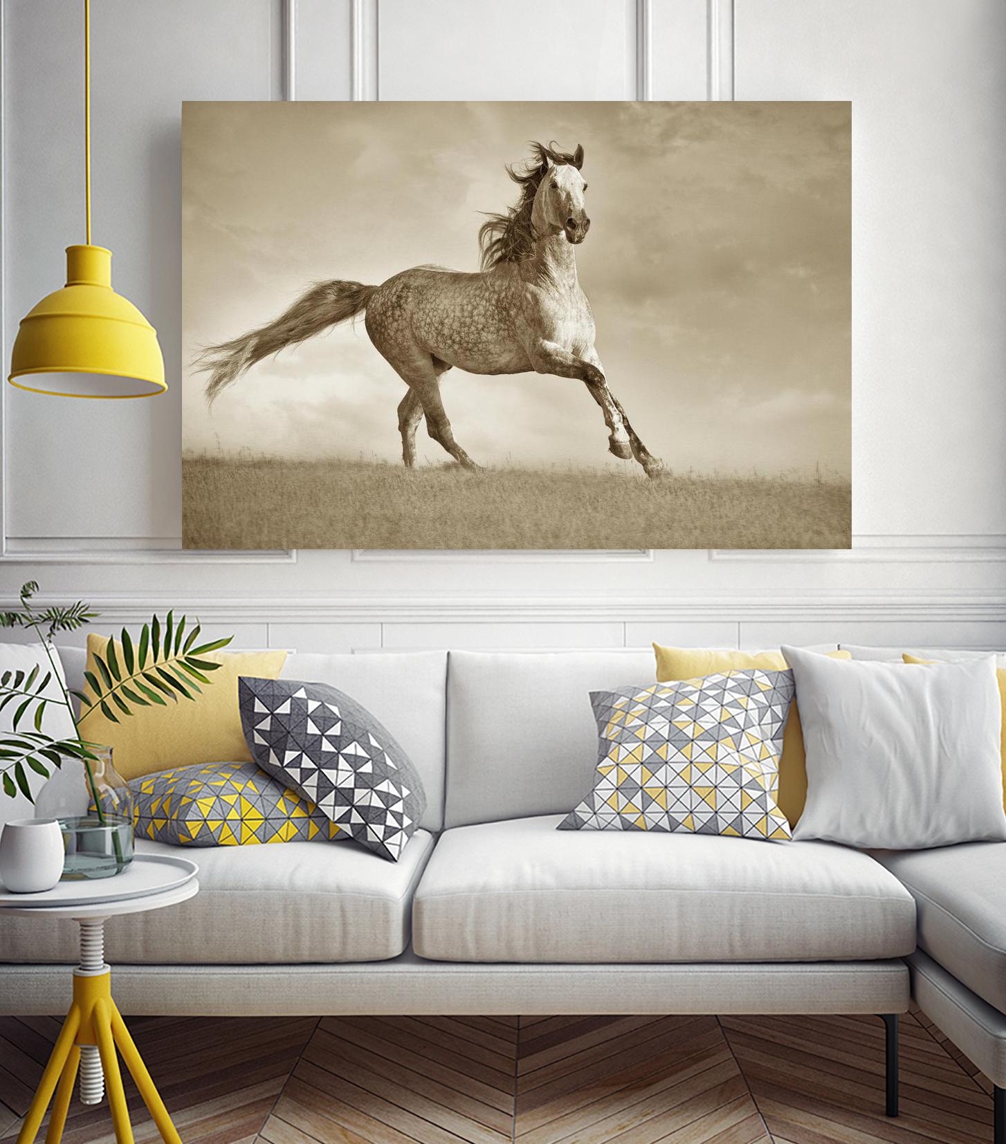 Like the Wind by Lisa Dearing on GIANT ART - multicolor photography; animals