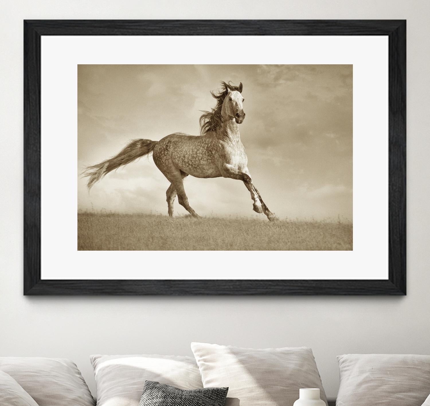 Like the Wind by Lisa Dearing on GIANT ART - multicolor photography; animals