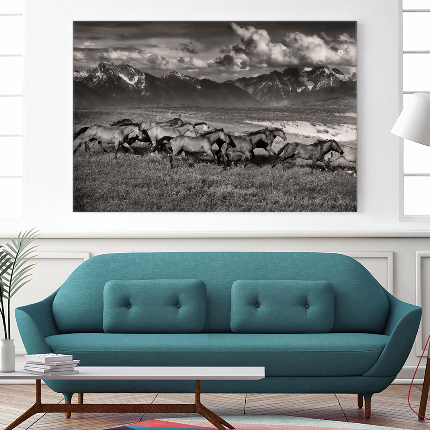 Mountain Range Mavericks by Lisa Dearing on GIANT ART - multicolor photography; animals
