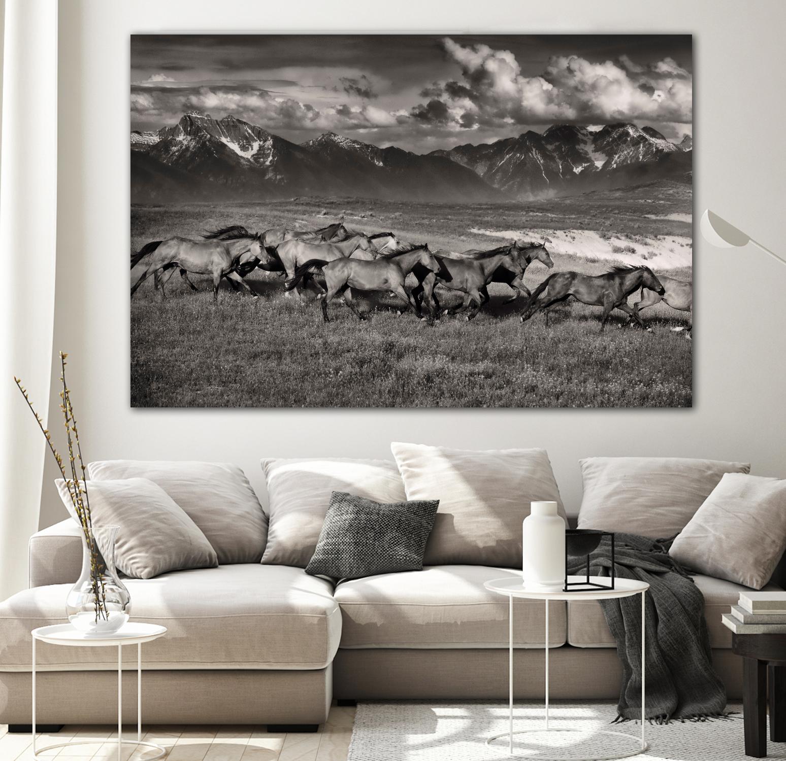 Mountain Range Mavericks by Lisa Dearing on GIANT ART - multicolor photography; animals