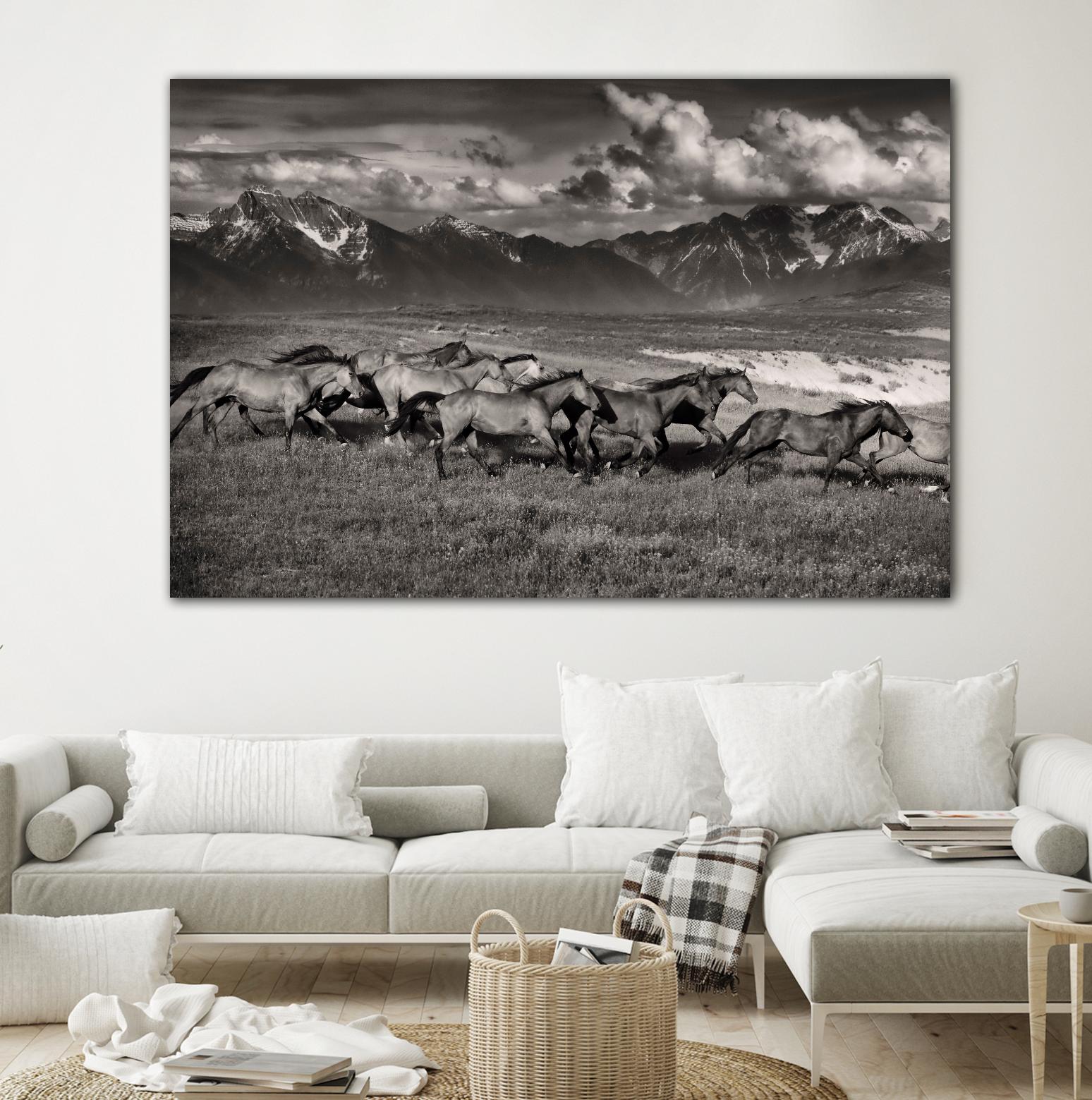 Mountain Range Mavericks by Lisa Dearing on GIANT ART - multicolor photography; animals
