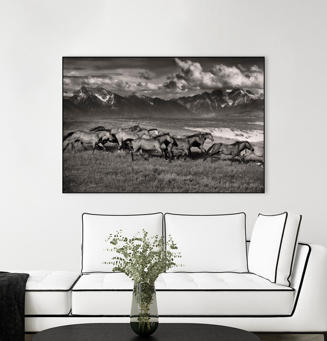 Mountain Range Mavericks by Lisa Dearing on GIANT ART - multicolor photography; animals