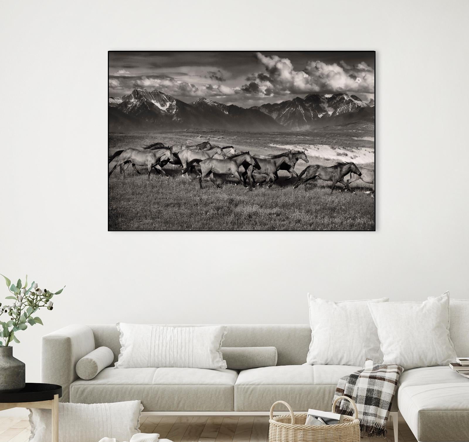 Mountain Range Mavericks by Lisa Dearing on GIANT ART - multicolor photography; animals