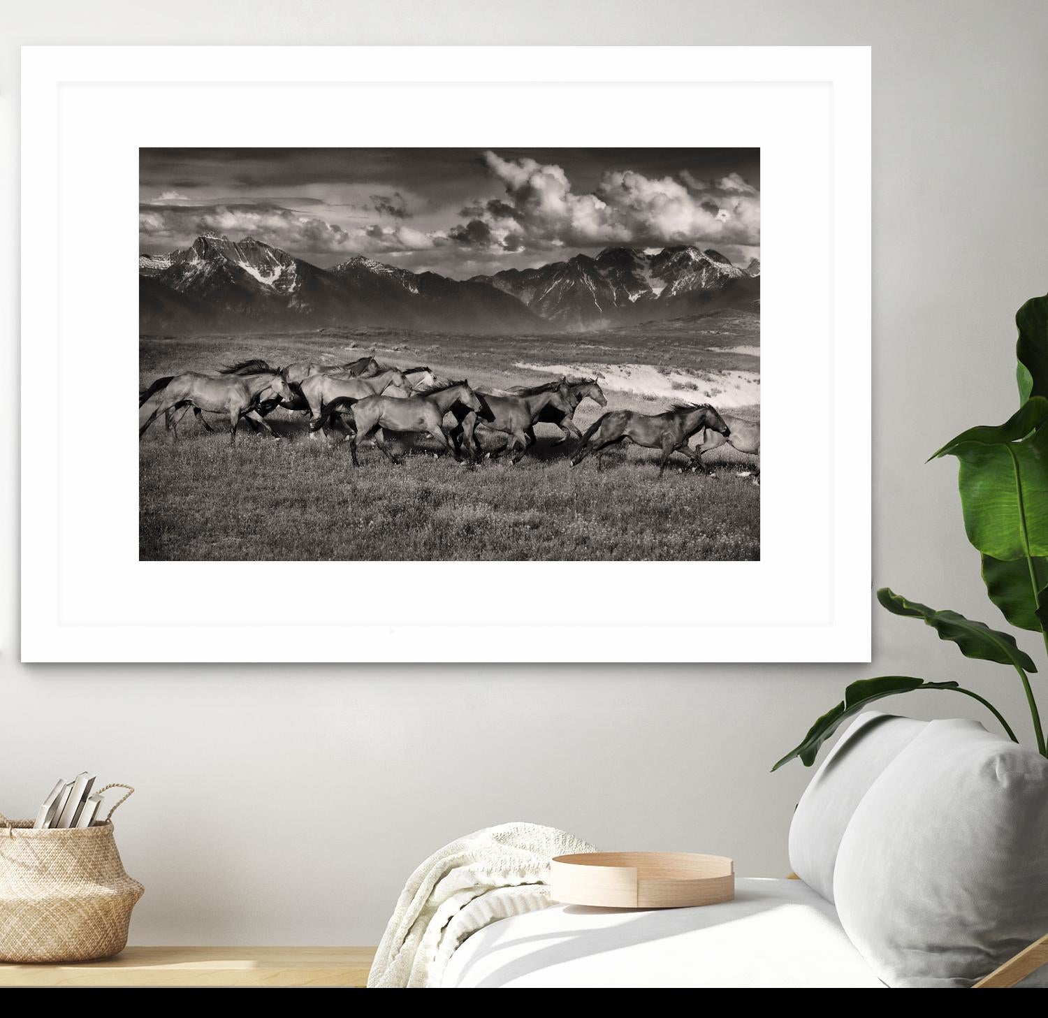 Mountain Range Mavericks by Lisa Dearing on GIANT ART - multicolor photography; animals