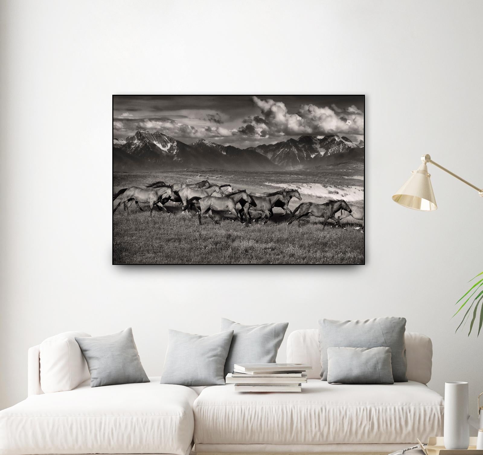 Mountain Range Mavericks by Lisa Dearing on GIANT ART - multicolor photography; animals