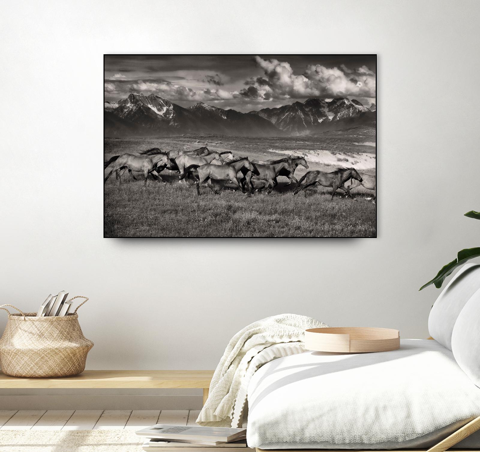 Mountain Range Mavericks by Lisa Dearing on GIANT ART - multicolor photography; animals