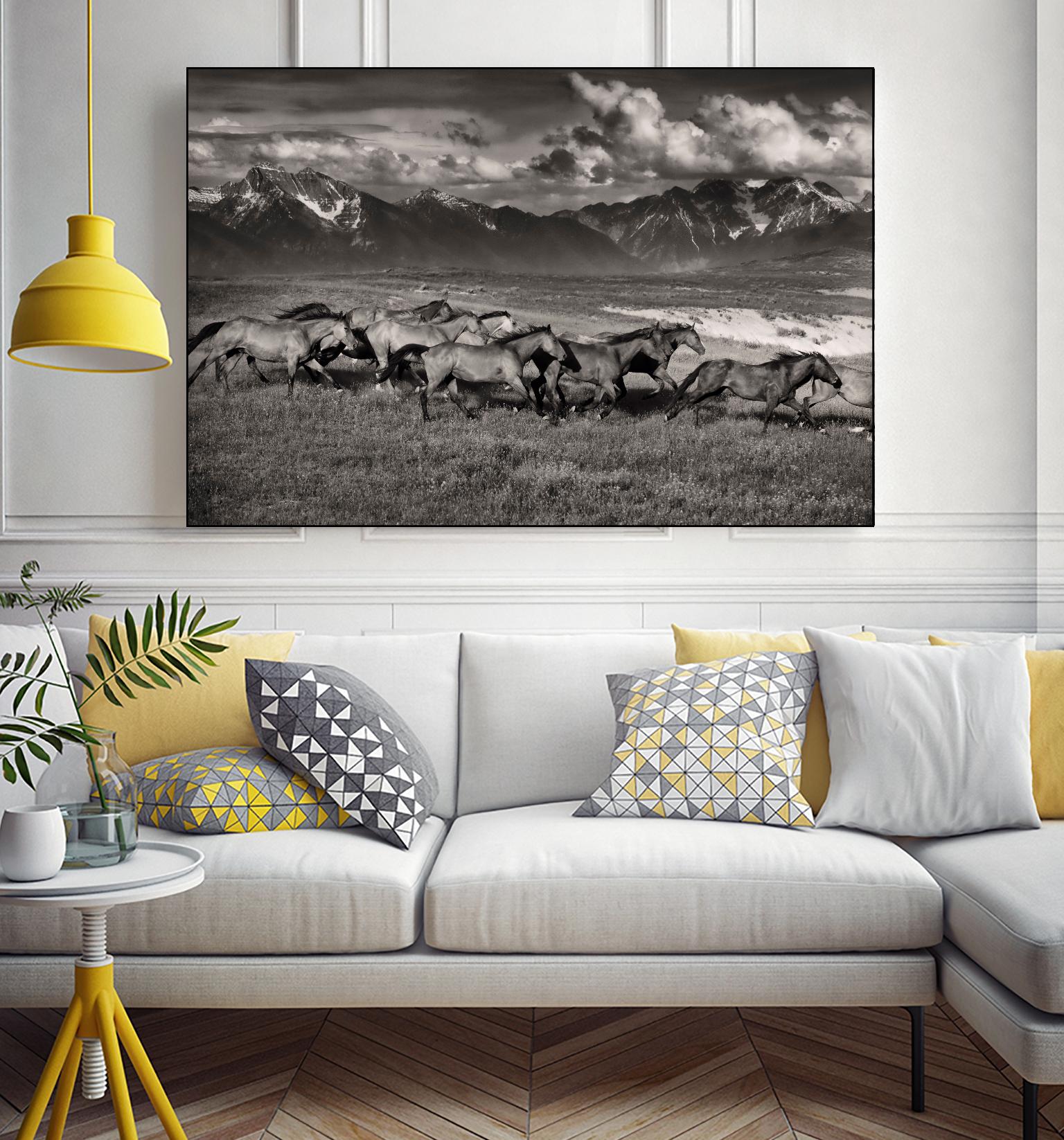 Mountain Range Mavericks by Lisa Dearing on GIANT ART - multicolor photography; animals