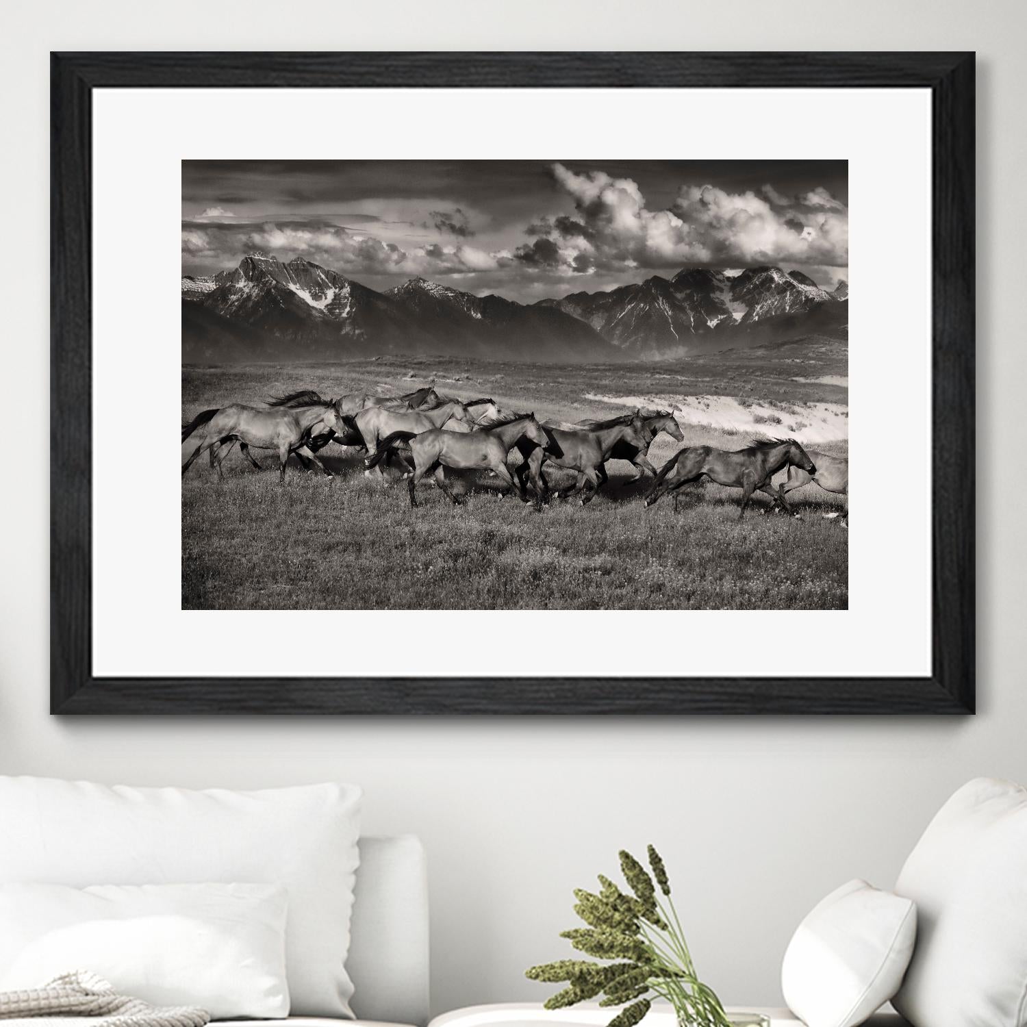 Mountain Range Mavericks by Lisa Dearing on GIANT ART - multicolor photography; animals