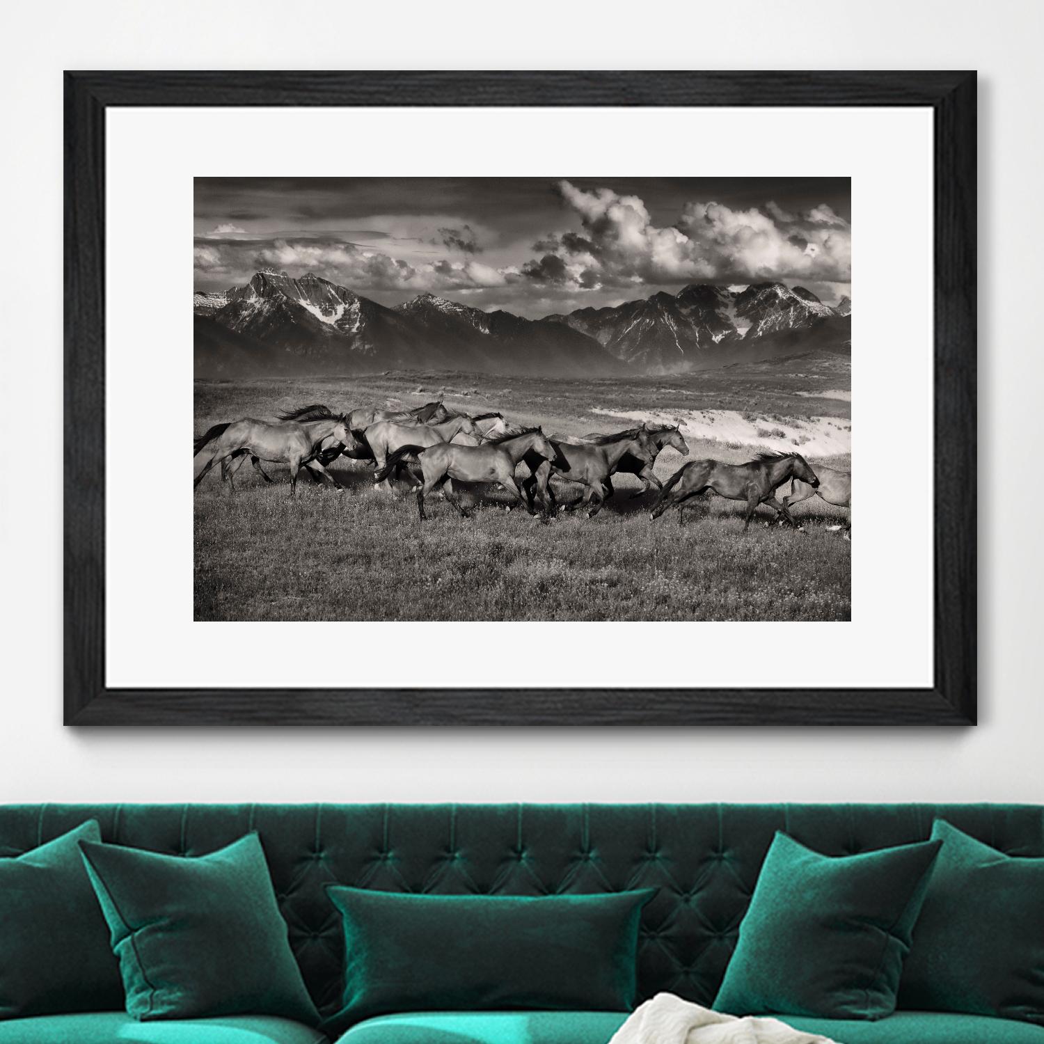 Mountain Range Mavericks by Lisa Dearing on GIANT ART - multicolor photography; animals