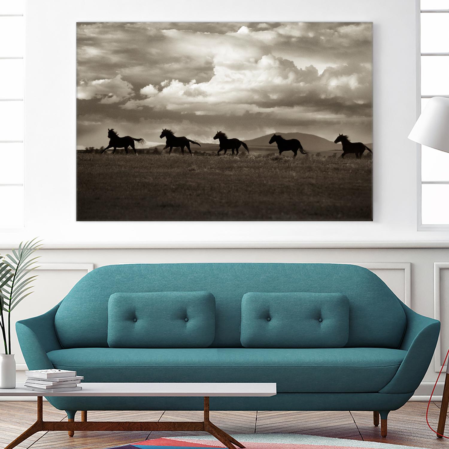 Racing the Clouds by Lisa Dearing on GIANT ART - multicolor photography; animals