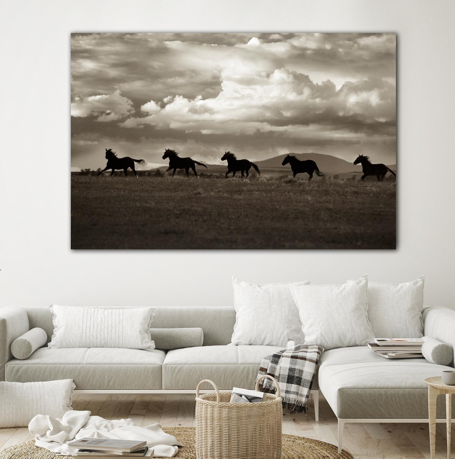 Racing the Clouds by Lisa Dearing on GIANT ART - multicolor photography; animals