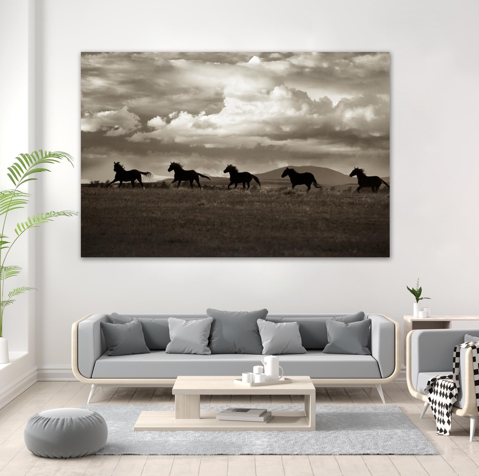 Racing the Clouds by Lisa Dearing on GIANT ART - multicolor photography; animals