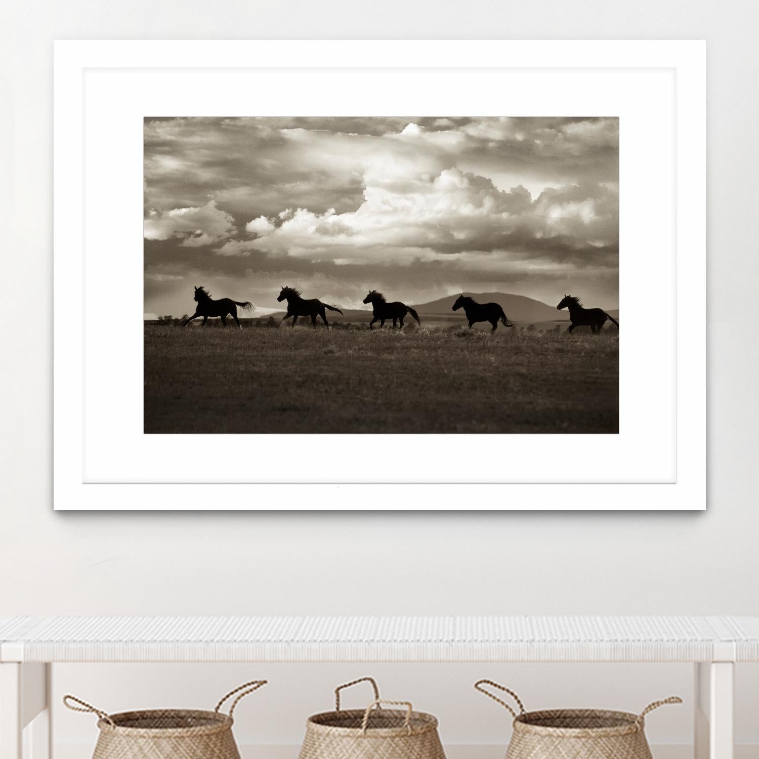 Racing the Clouds by Lisa Dearing on GIANT ART - multicolor photography; animals