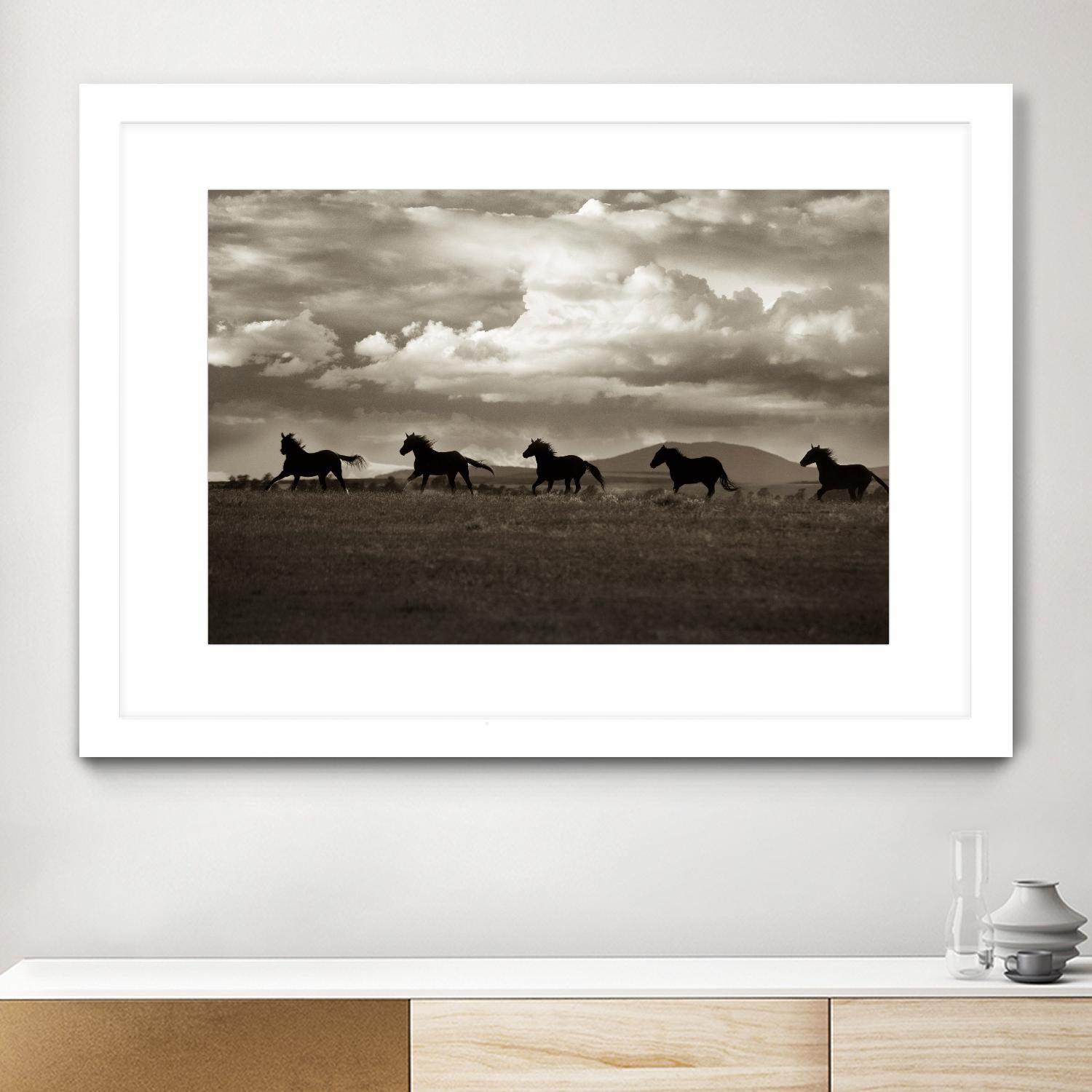 Racing the Clouds by Lisa Dearing on GIANT ART - multicolor photography; animals