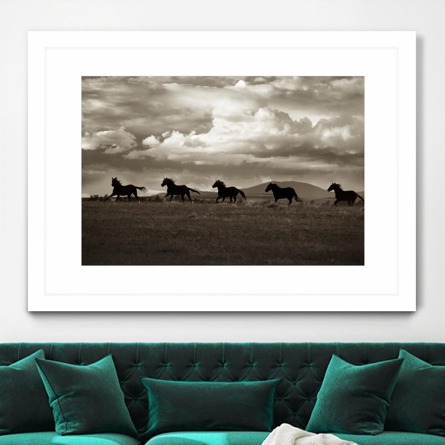 Racing the Clouds by Lisa Dearing on GIANT ART - multicolor photography; animals