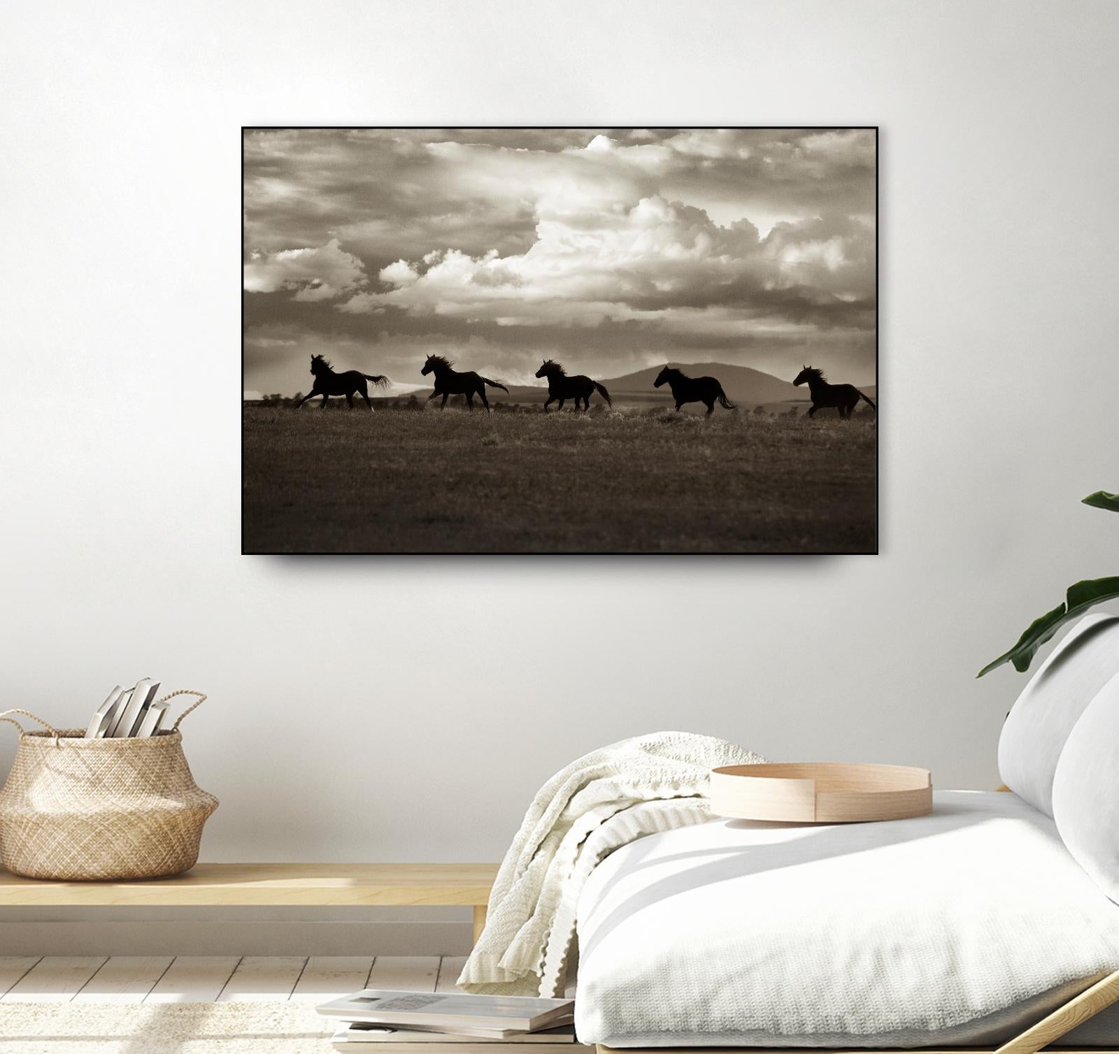 Racing the Clouds by Lisa Dearing on GIANT ART - multicolor photography; animals