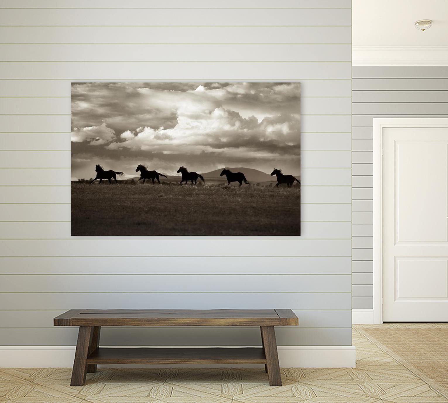 Racing the Clouds by Lisa Dearing on GIANT ART - multicolor photography; animals