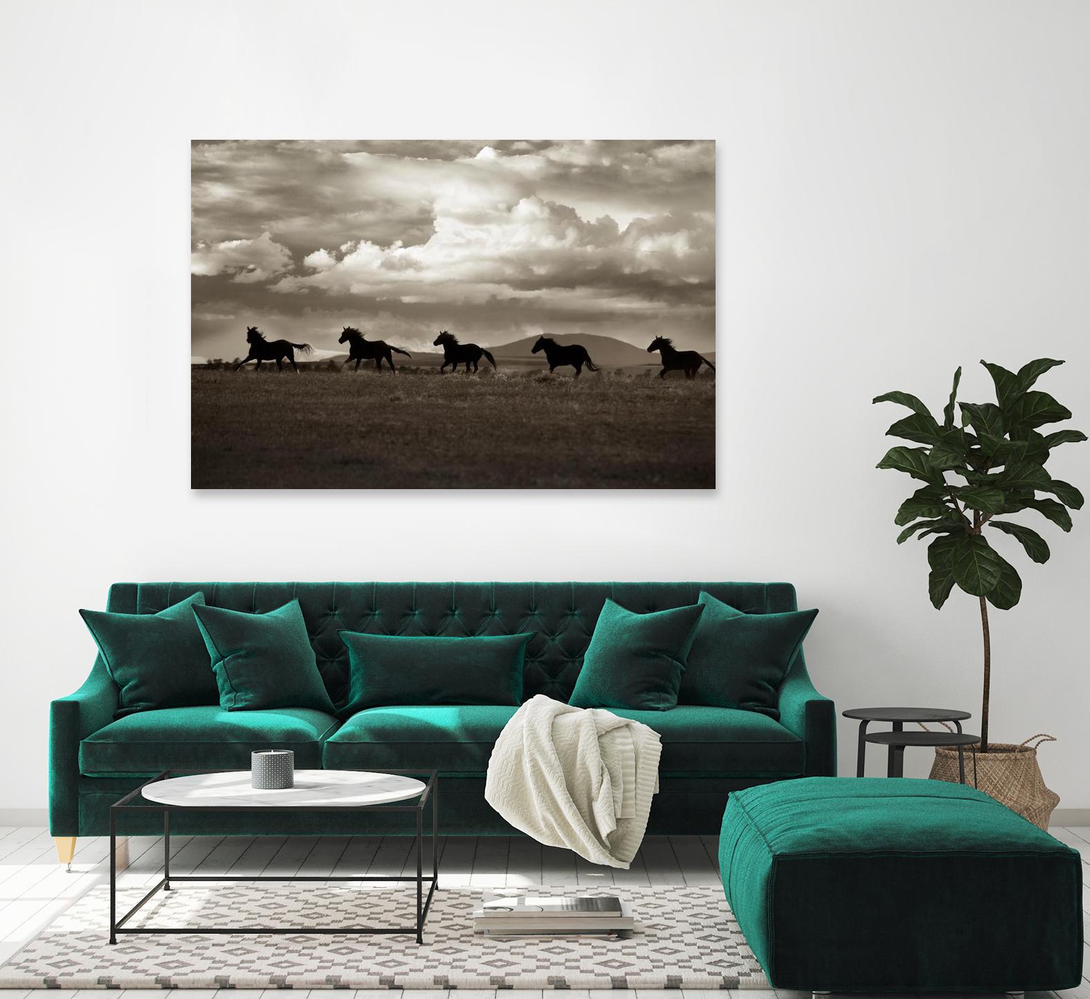 Racing the Clouds by Lisa Dearing on GIANT ART - multicolor photography; animals