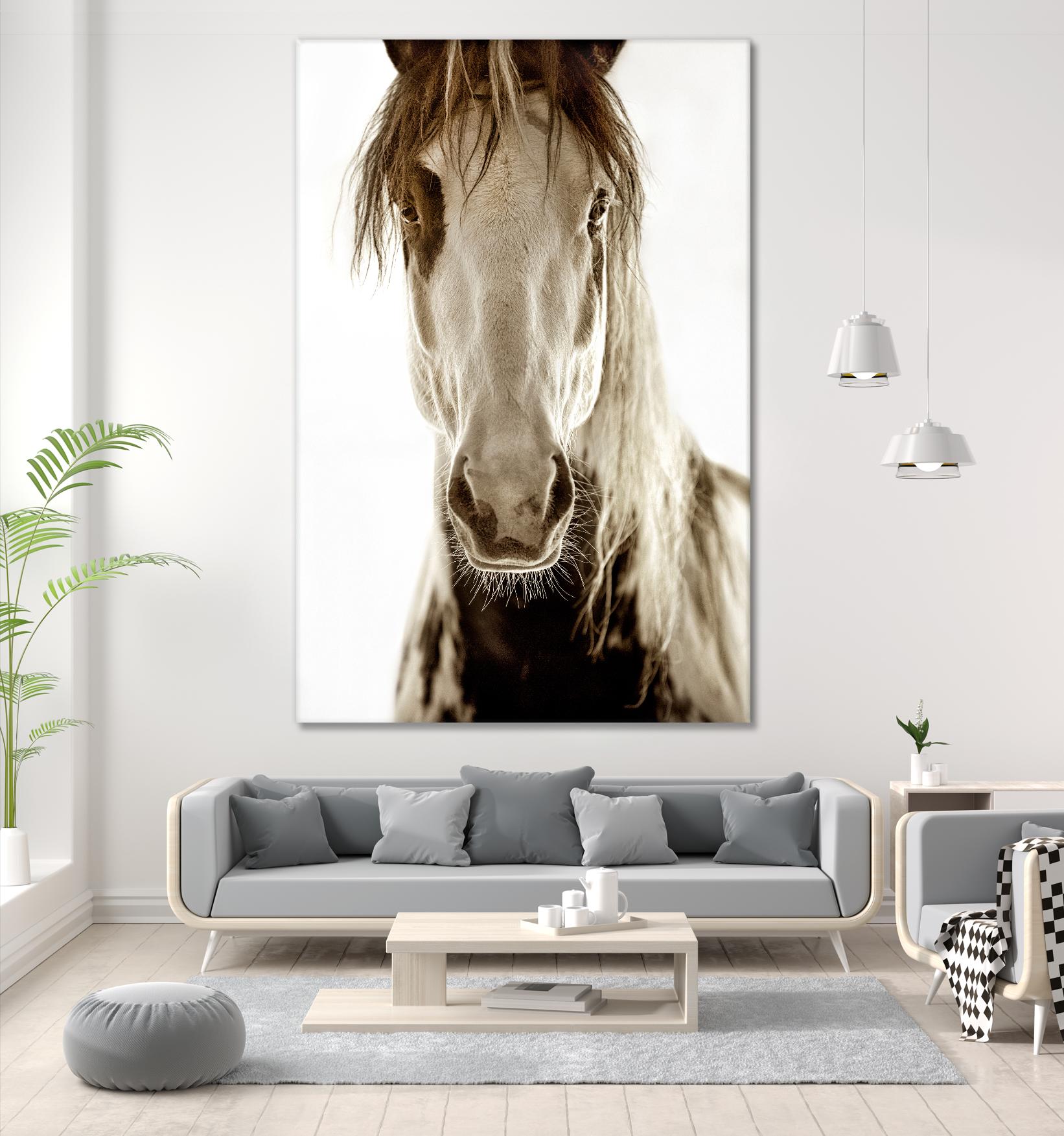 Wilbur Cruz by Lisa Dearing on GIANT ART - multicolor photography; animals