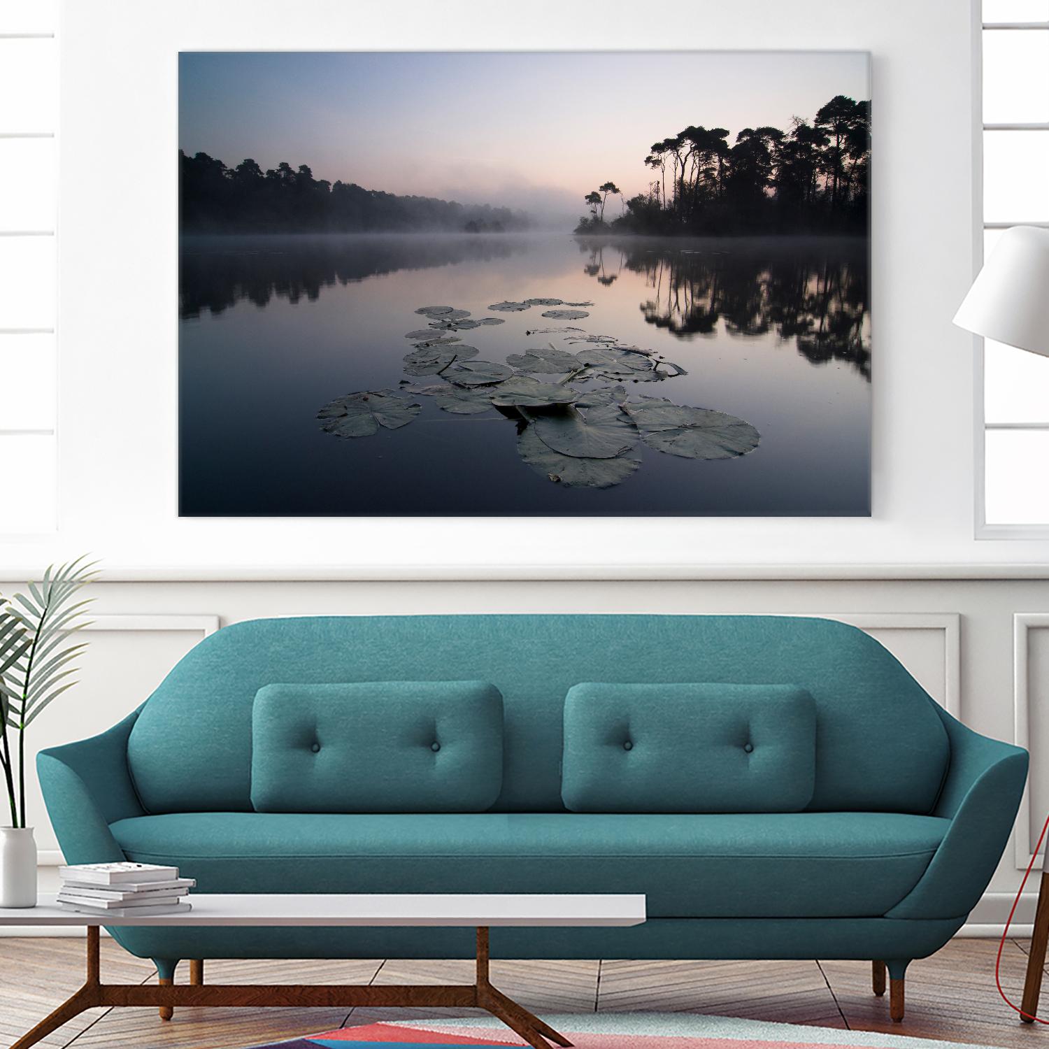 Oisterwijkse Vennen by Wilco Dragt on GIANT ART - multicolor photography; landscapes