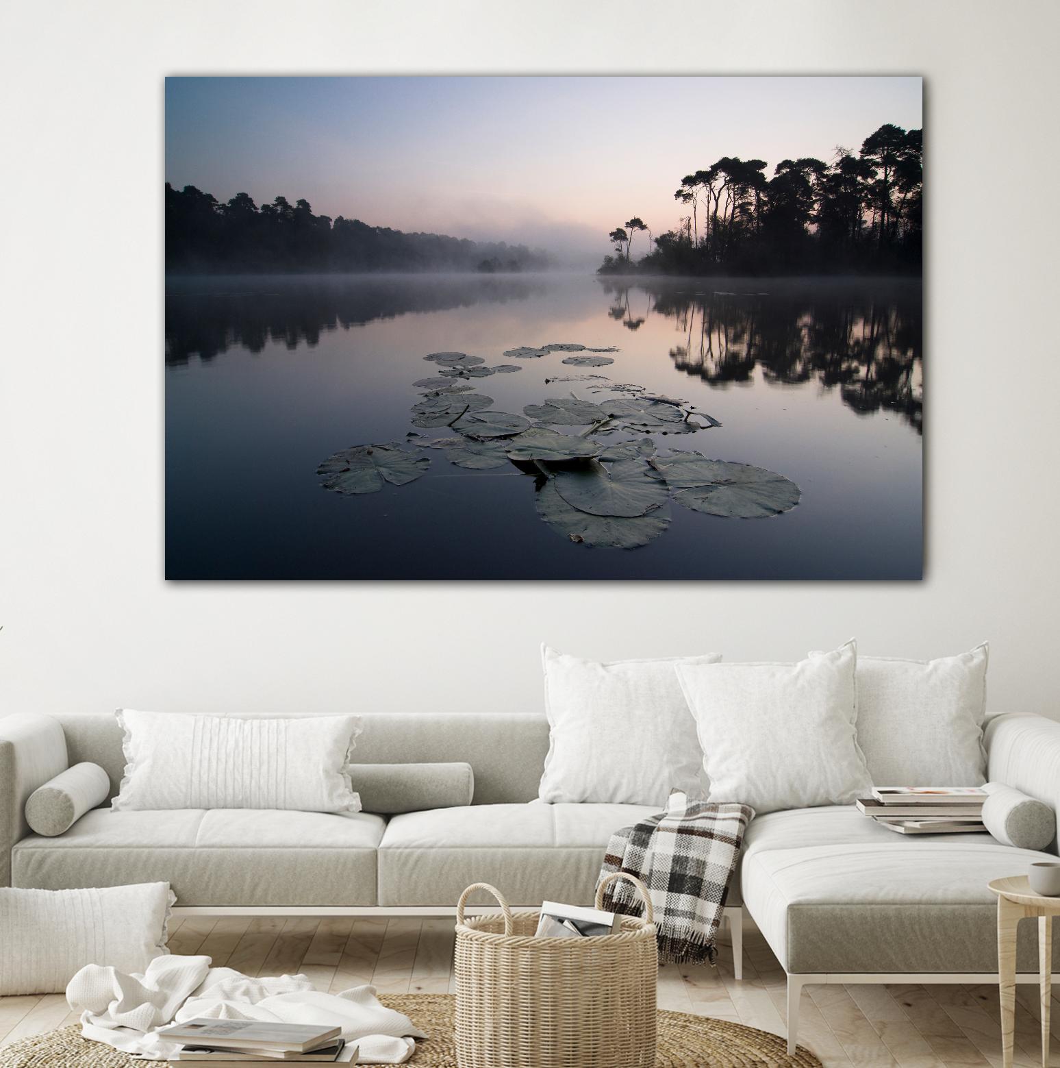 Oisterwijkse Vennen by Wilco Dragt on GIANT ART - multicolor photography; landscapes