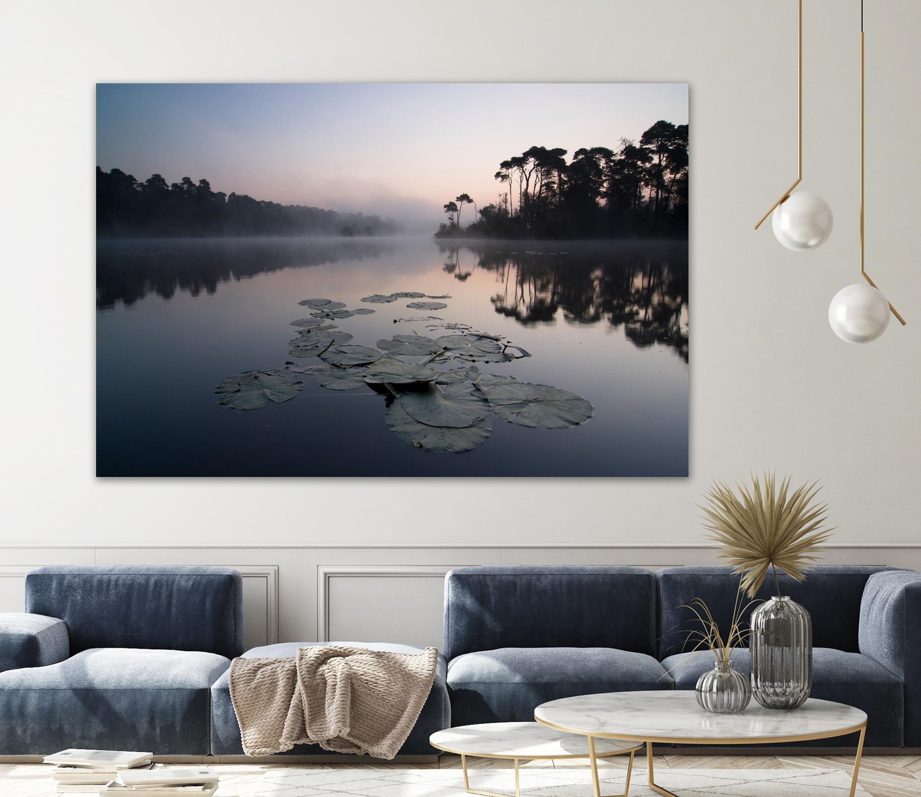 Oisterwijkse Vennen by Wilco Dragt on GIANT ART - multicolor photography; landscapes