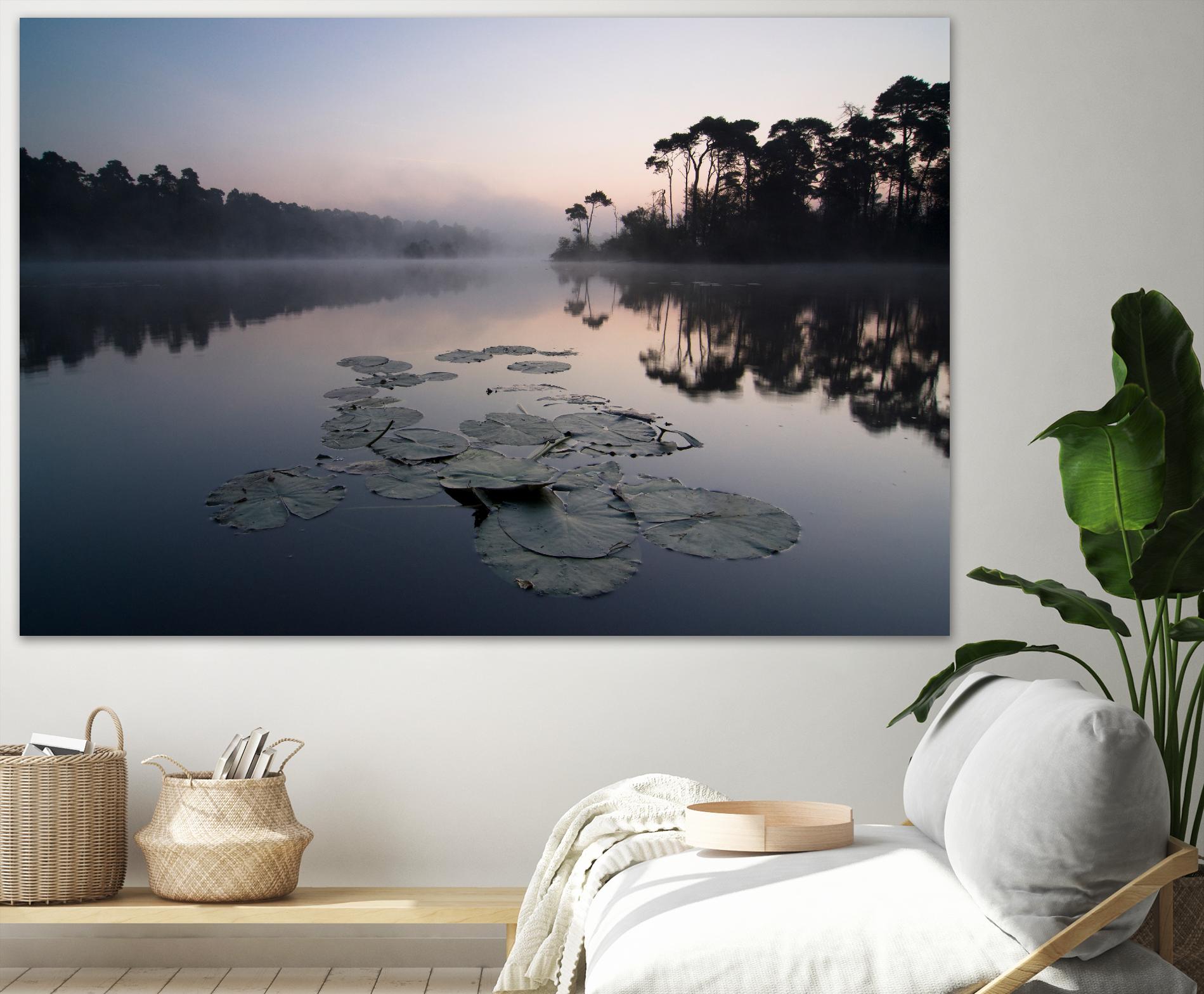 Oisterwijkse Vennen by Wilco Dragt on GIANT ART - multicolor photography; landscapes