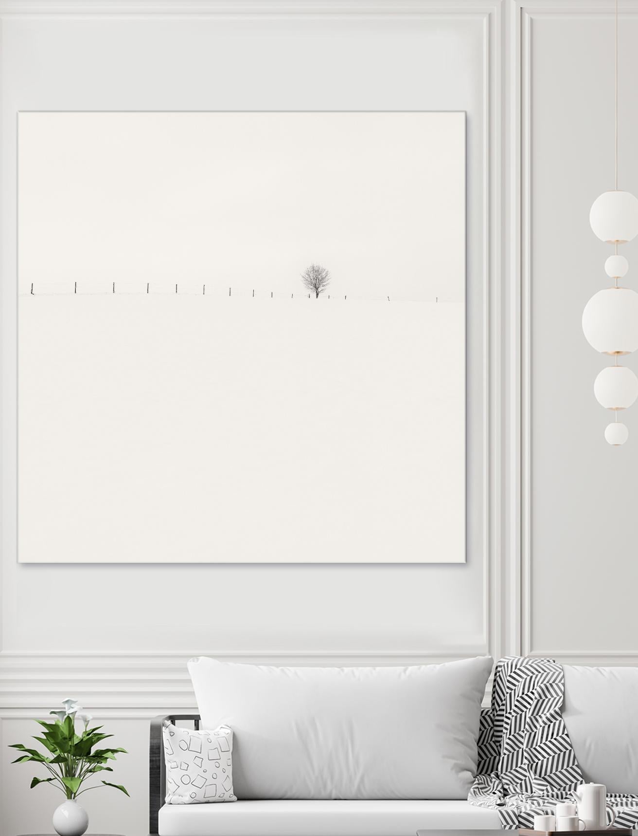 Frozen Landscape by Wilco Dragt on GIANT ART - multicolor photography; landscapes