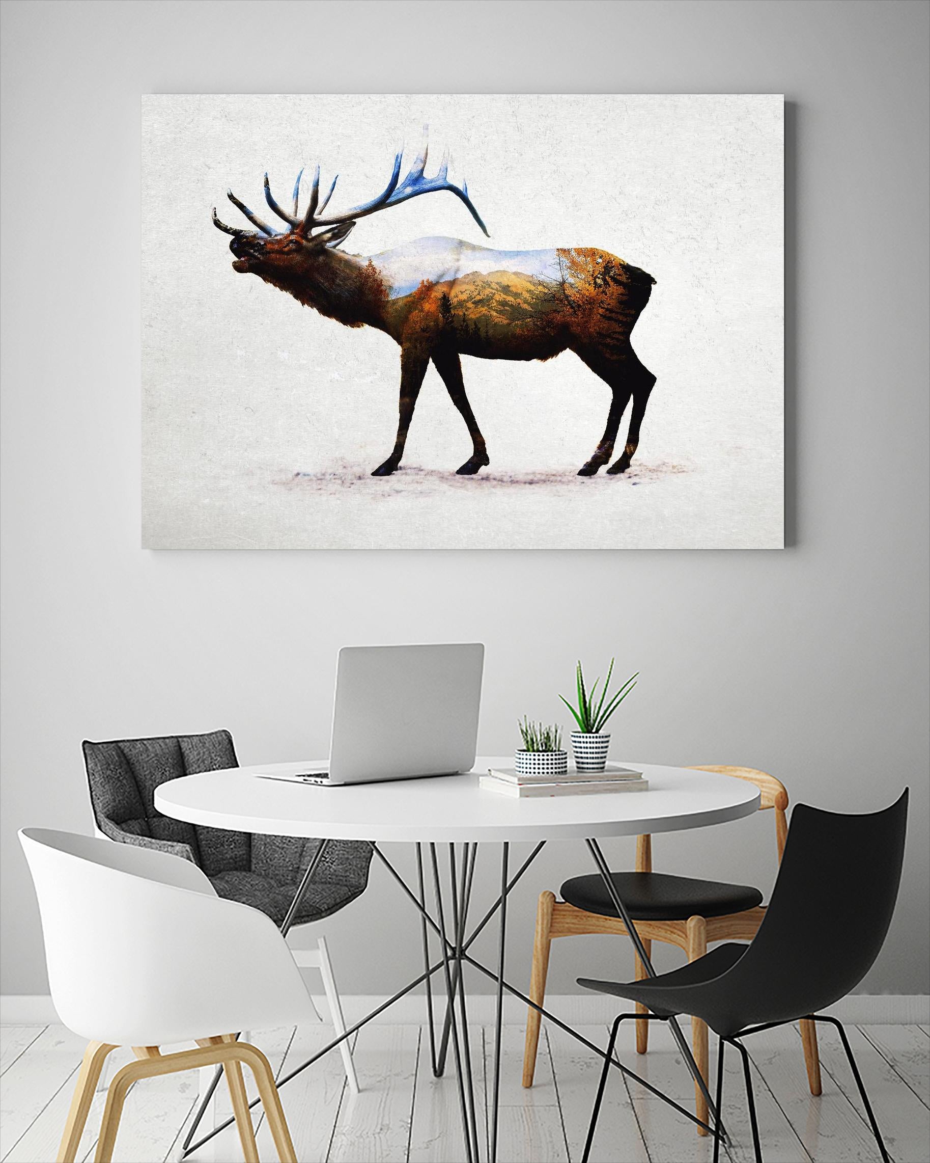 Rocky Mountain Elk by Davies Babies on GIANT ART - white animals