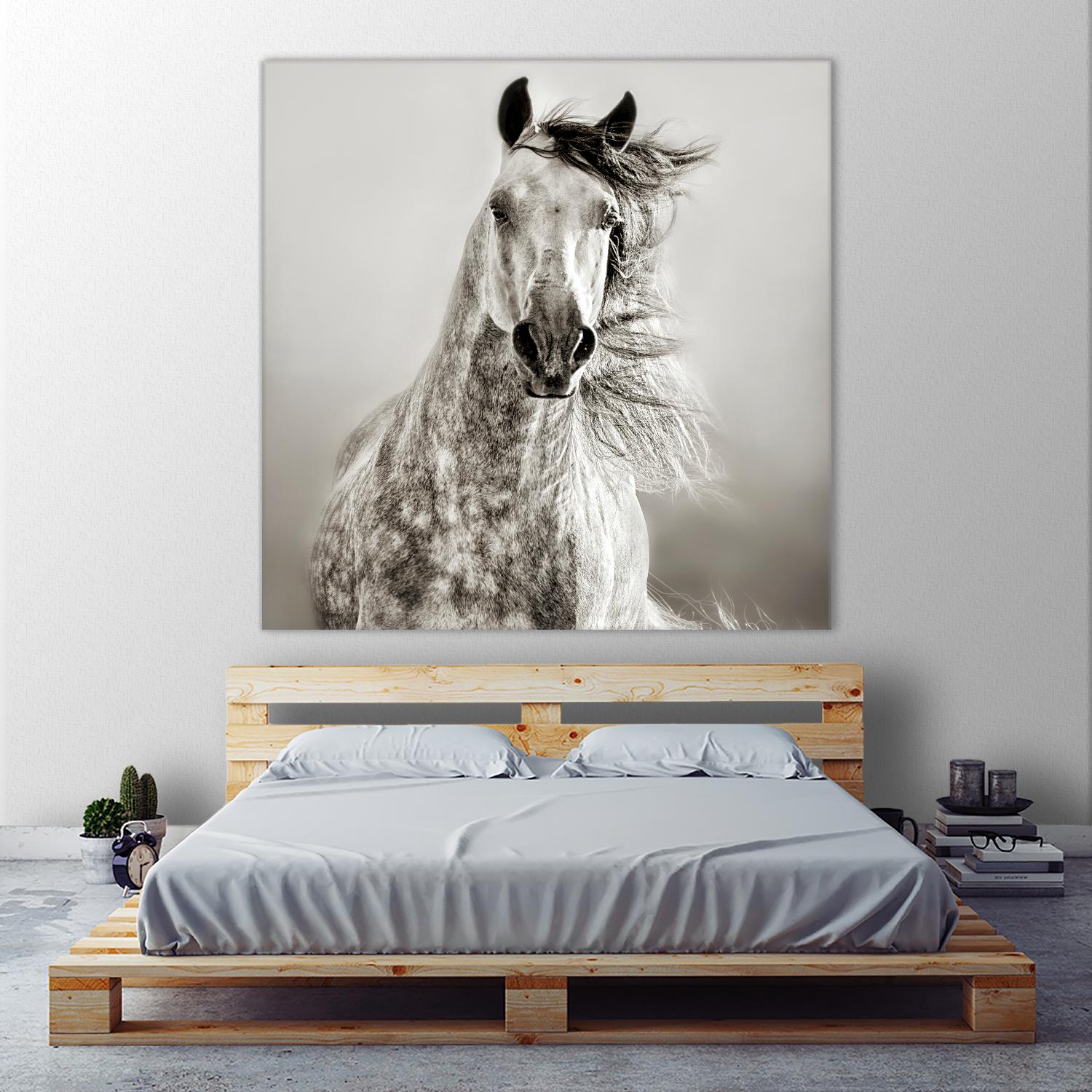 Caballo de Andaluz by Lisa Dearing on GIANT ART - grey animals