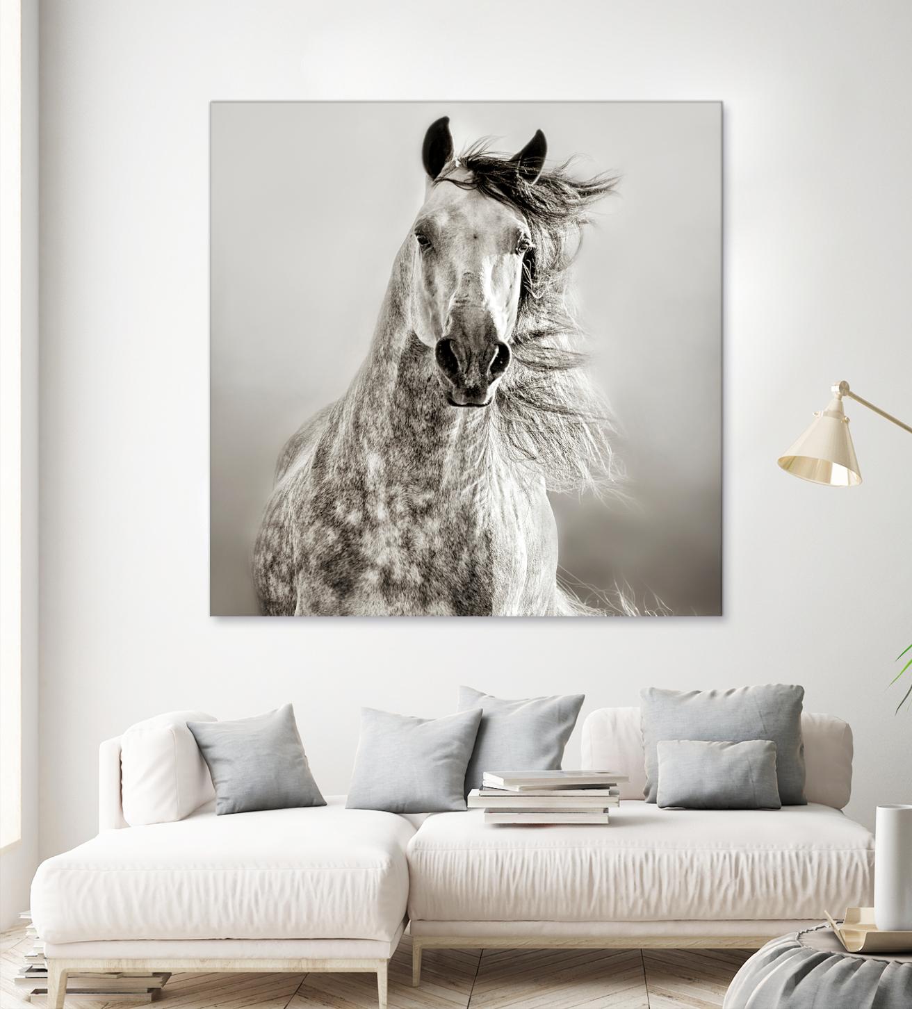 Caballo de Andaluz by Lisa Dearing on GIANT ART - grey animals