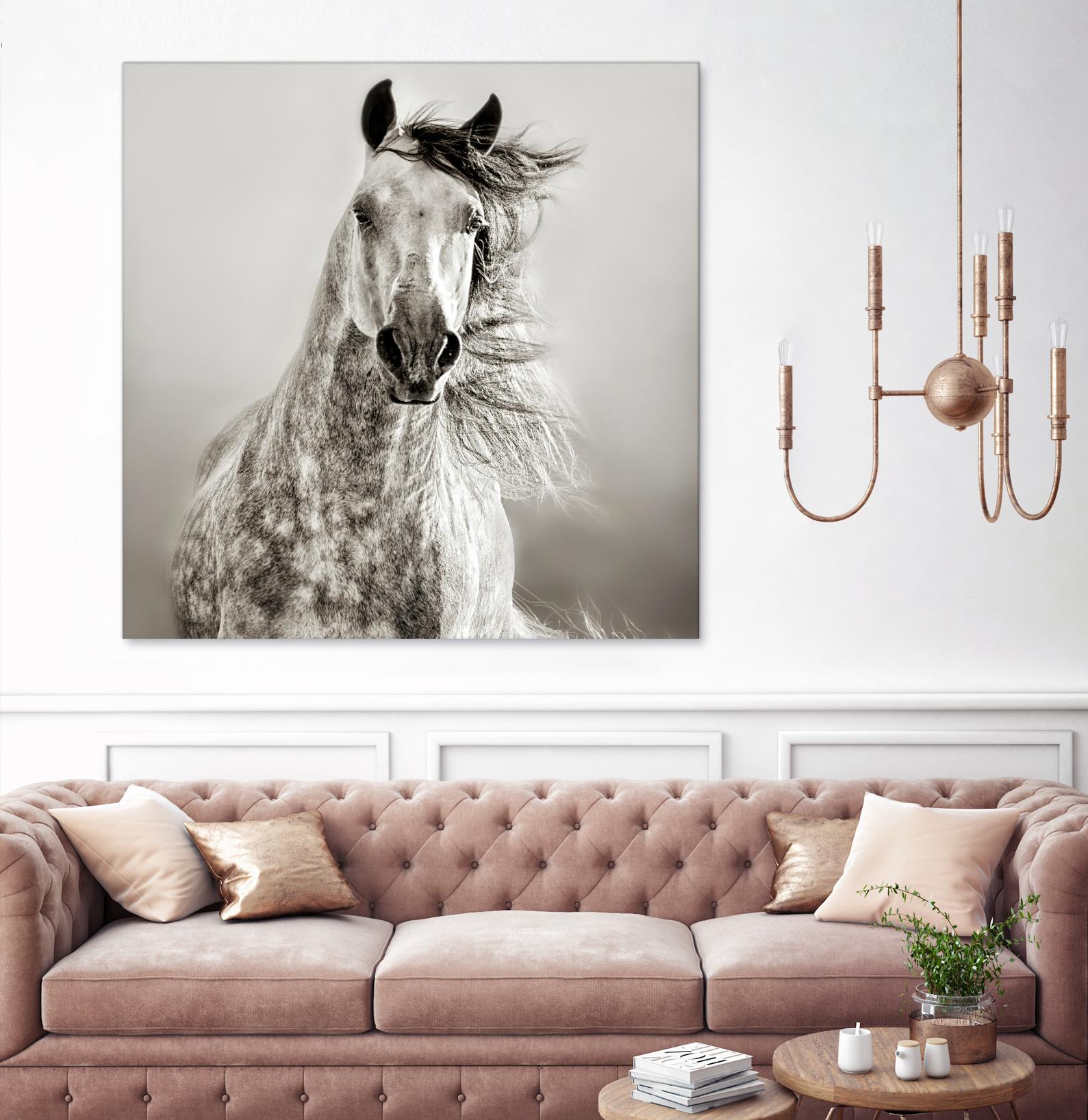 Caballo de Andaluz by Lisa Dearing on GIANT ART - grey animals