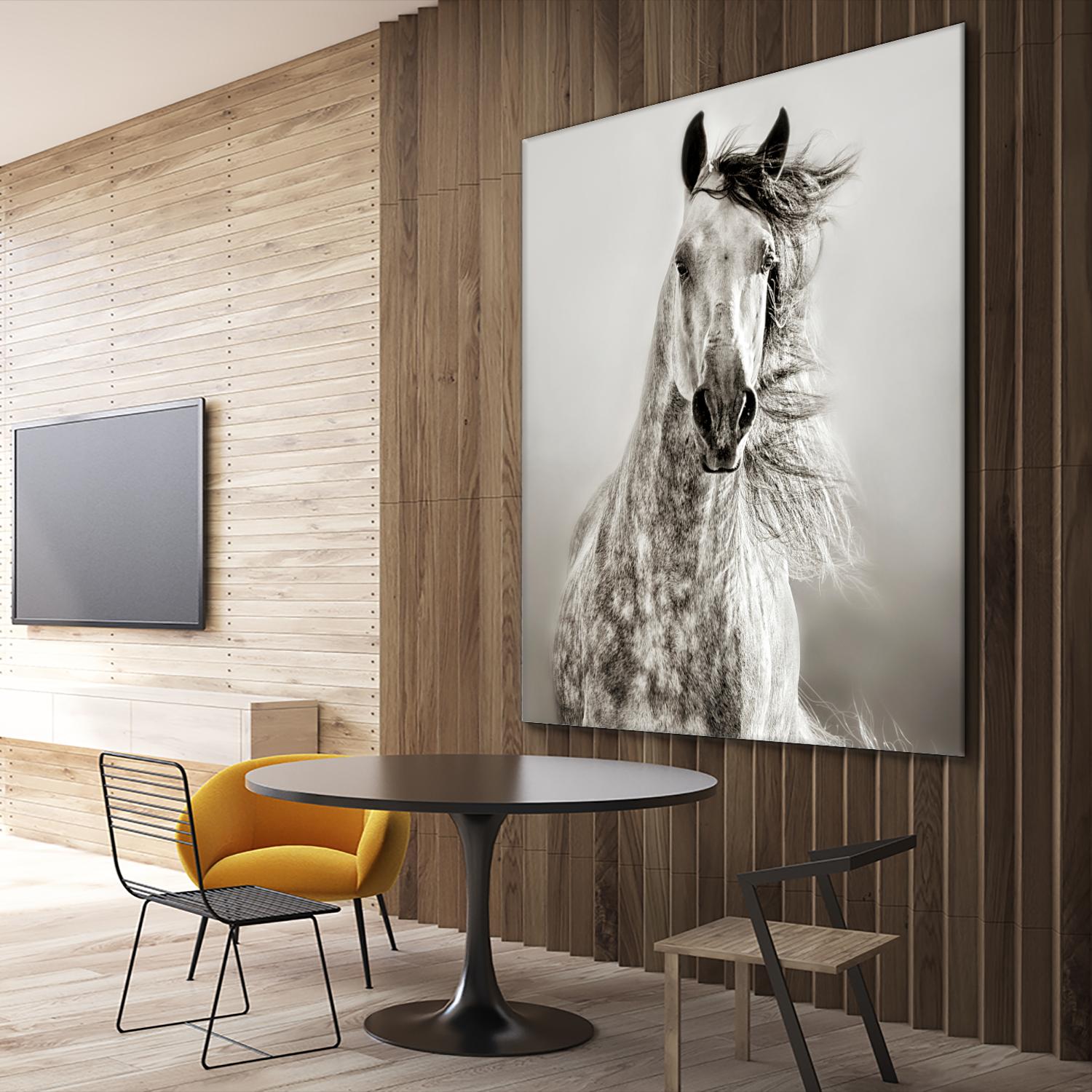 Caballo de Andaluz by Lisa Dearing on GIANT ART - grey animals