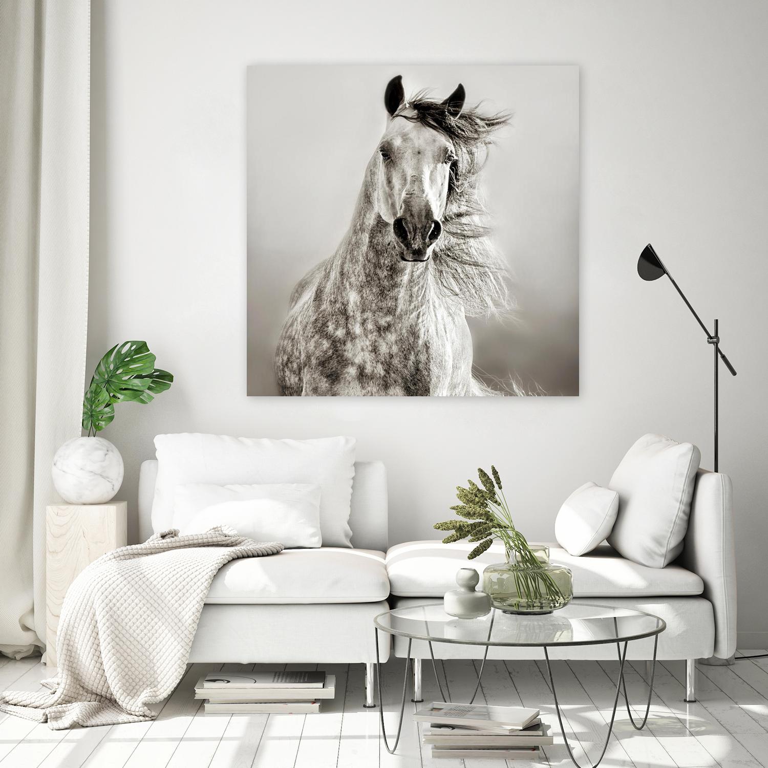 Caballo de Andaluz by Lisa Dearing on GIANT ART - grey animals