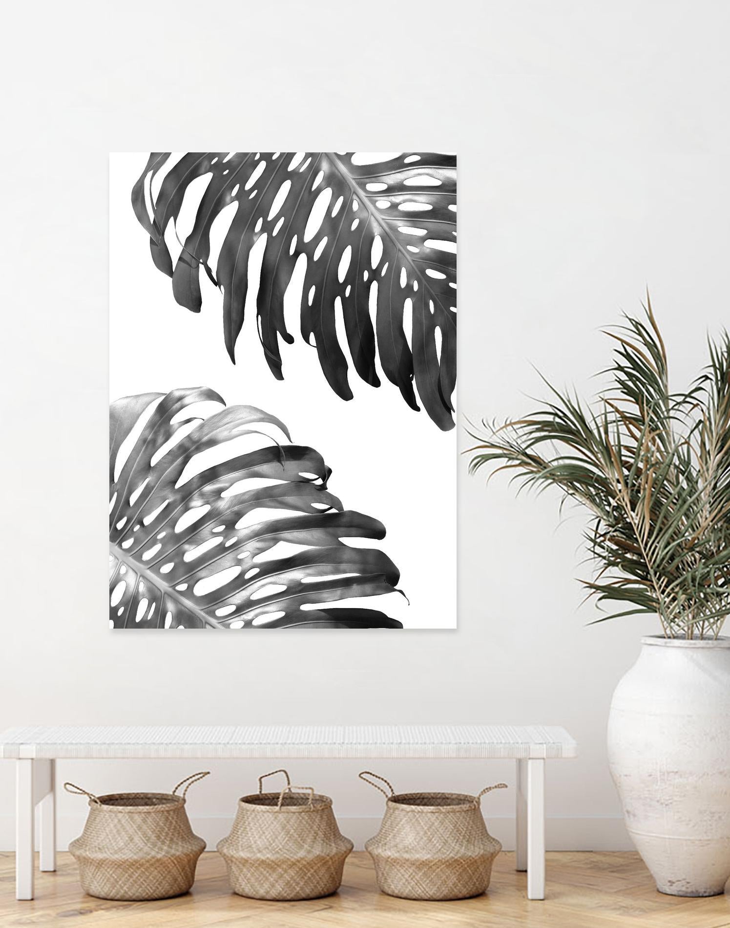 Double Philodendron (BW) by Lexie Greer on GIANT ART - multicolor photography; floral/still life