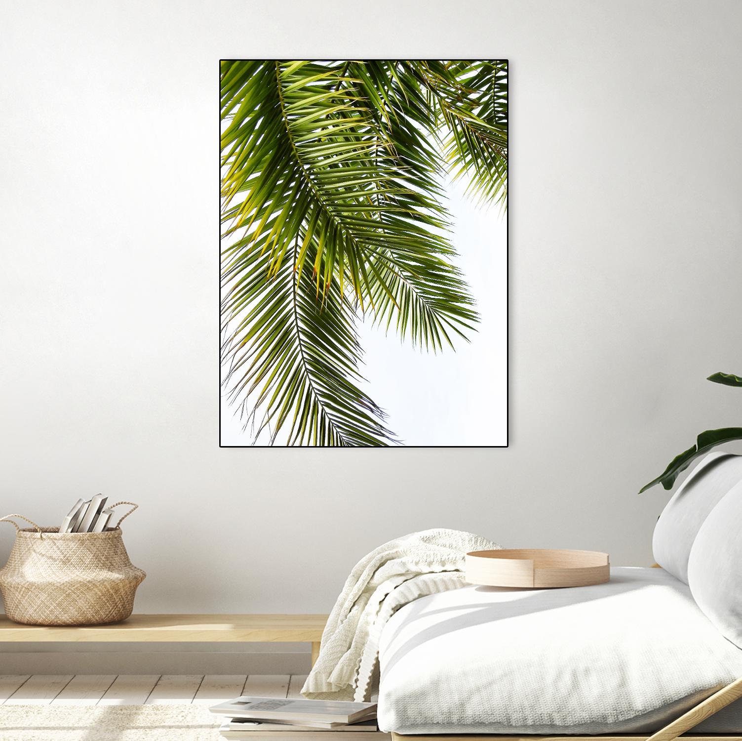 Palm Leaves by Lexie Greer on GIANT ART - multicolor photography; floral/still life