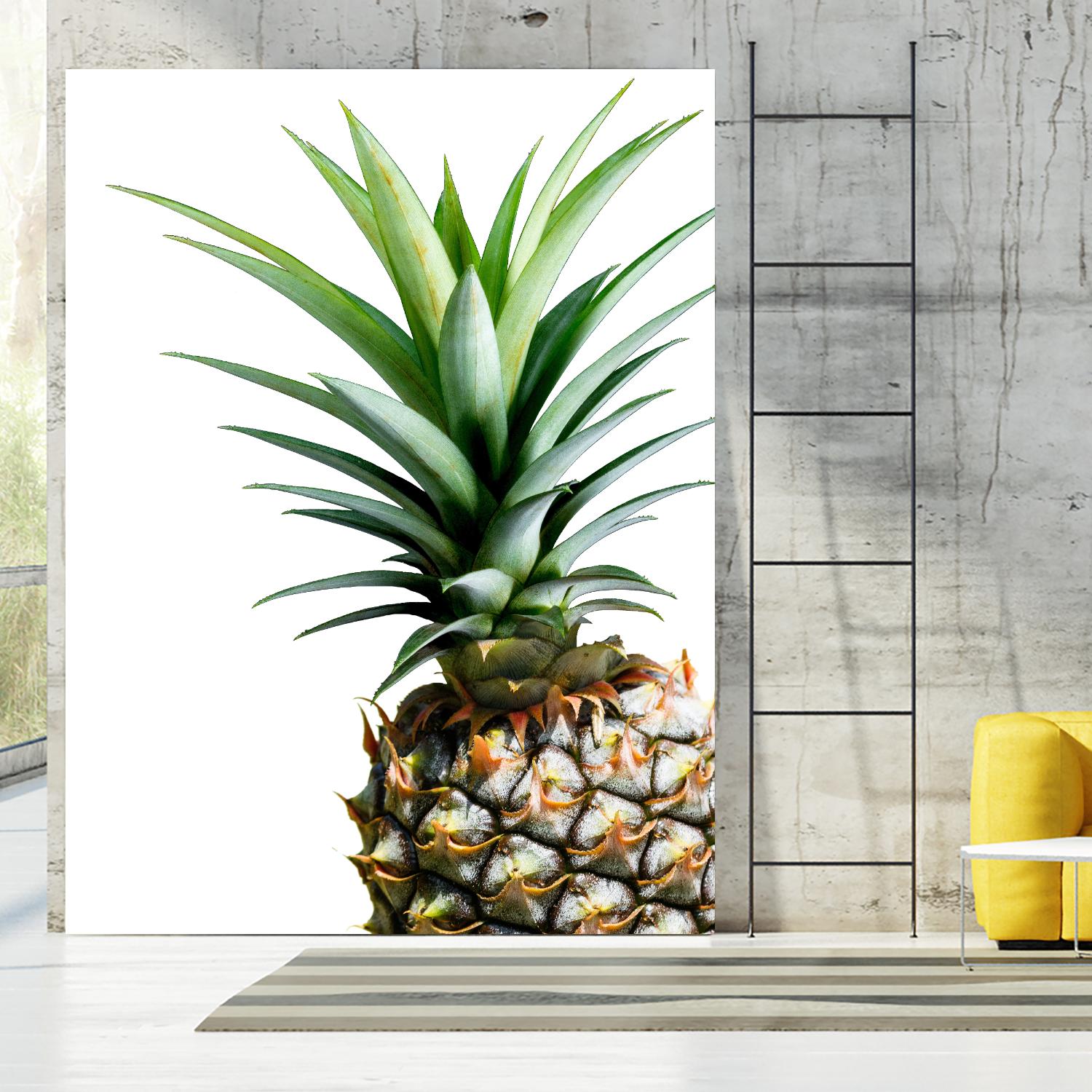Pineapple (color) by Lexie Greer on GIANT ART - multicolor photography; cuisine; floral/still life