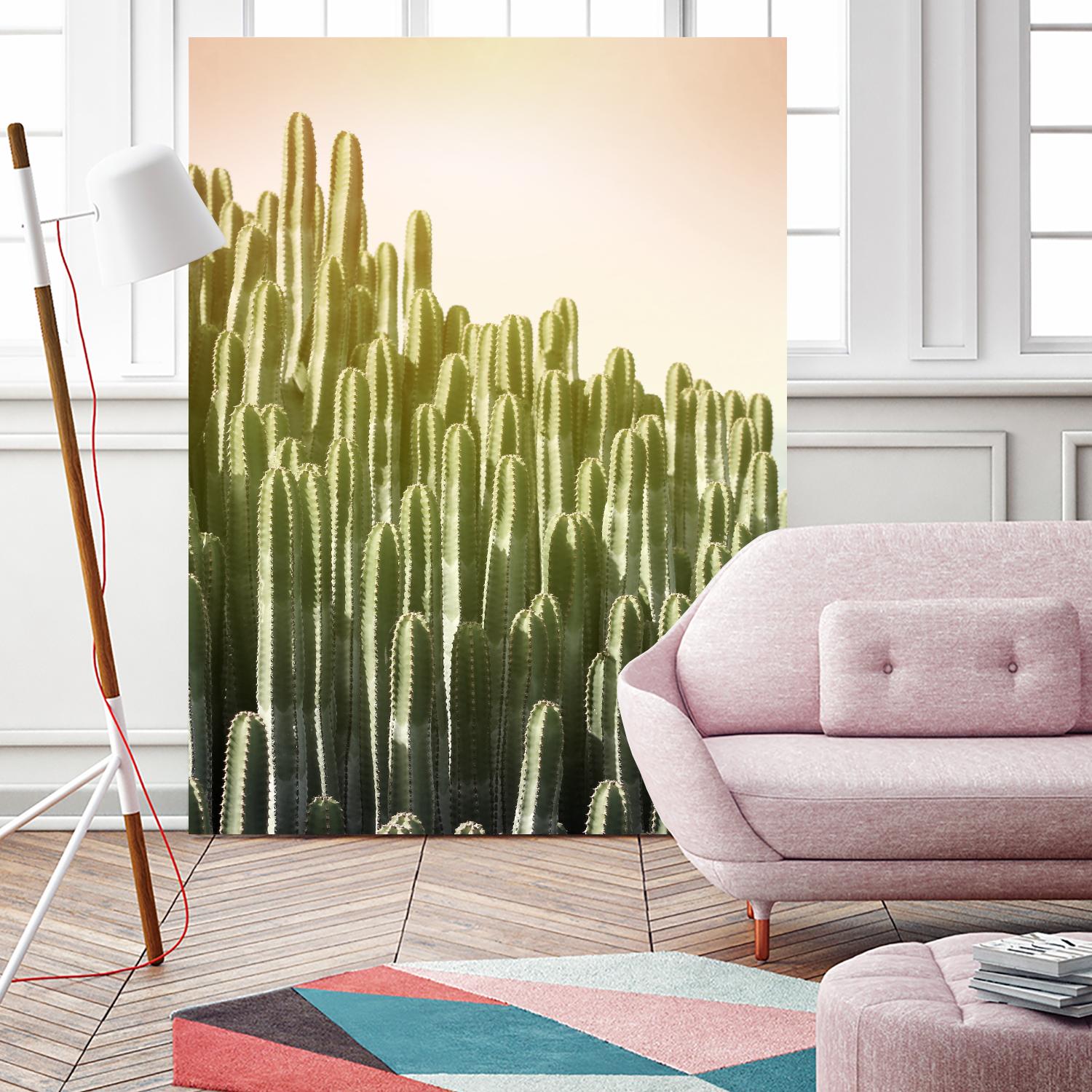 Pink Sky Cactus by Lexie Greer on GIANT ART - multicolor photography; floral/still life