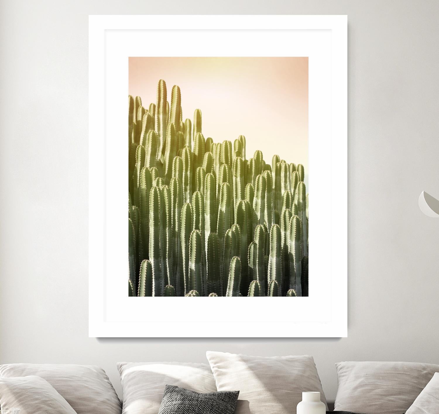 Pink Sky Cactus by Lexie Greer on GIANT ART - multicolor photography; floral/still life