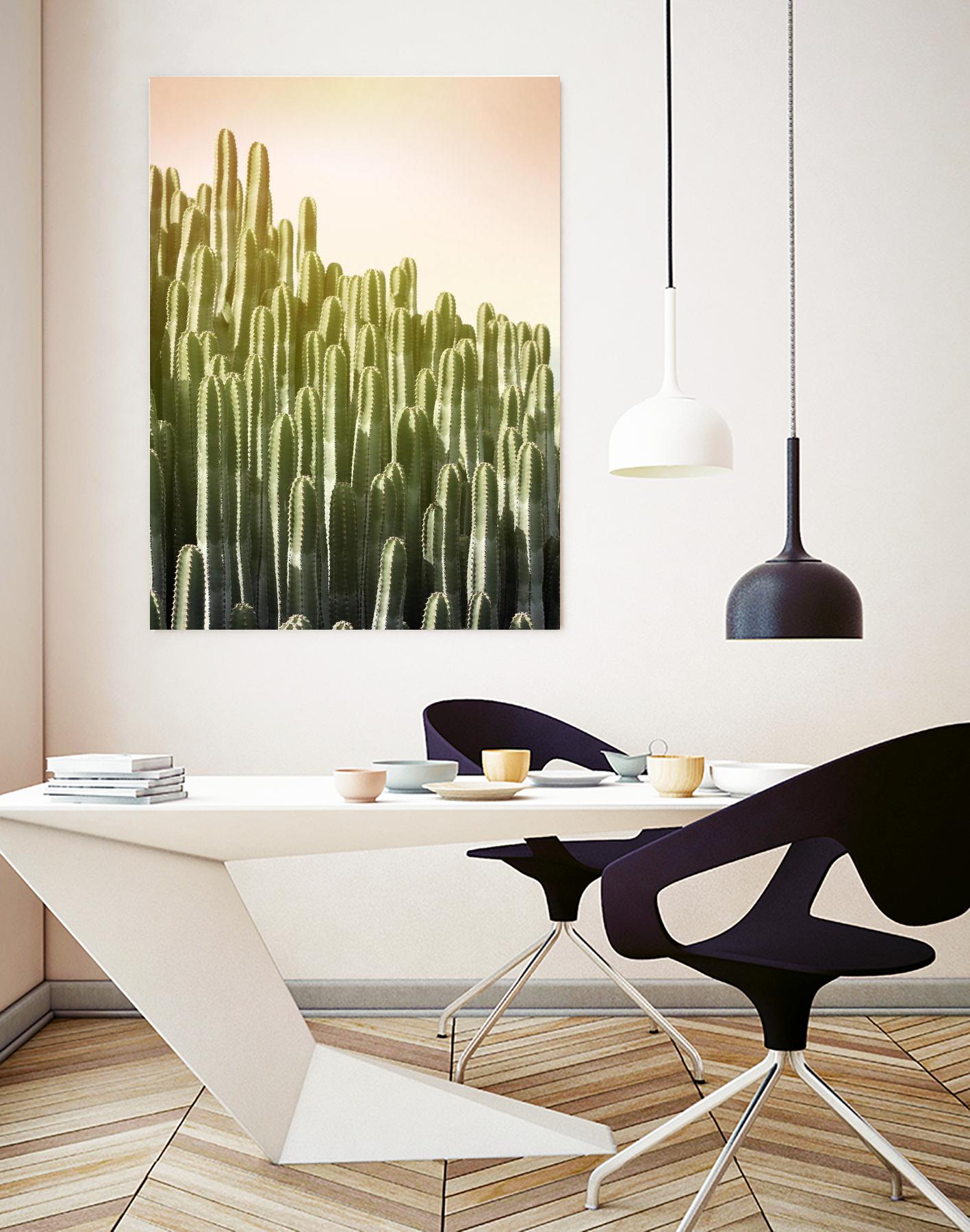 Pink Sky Cactus by Lexie Greer on GIANT ART - multicolor photography; floral/still life