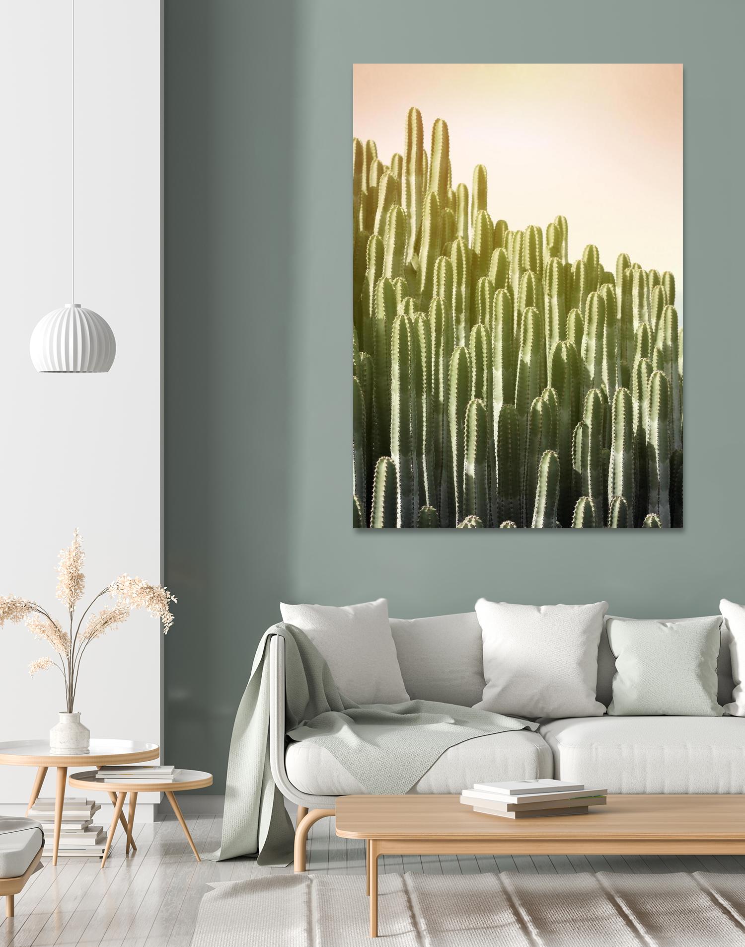 Pink Sky Cactus by Lexie Greer on GIANT ART - multicolor photography; floral/still life