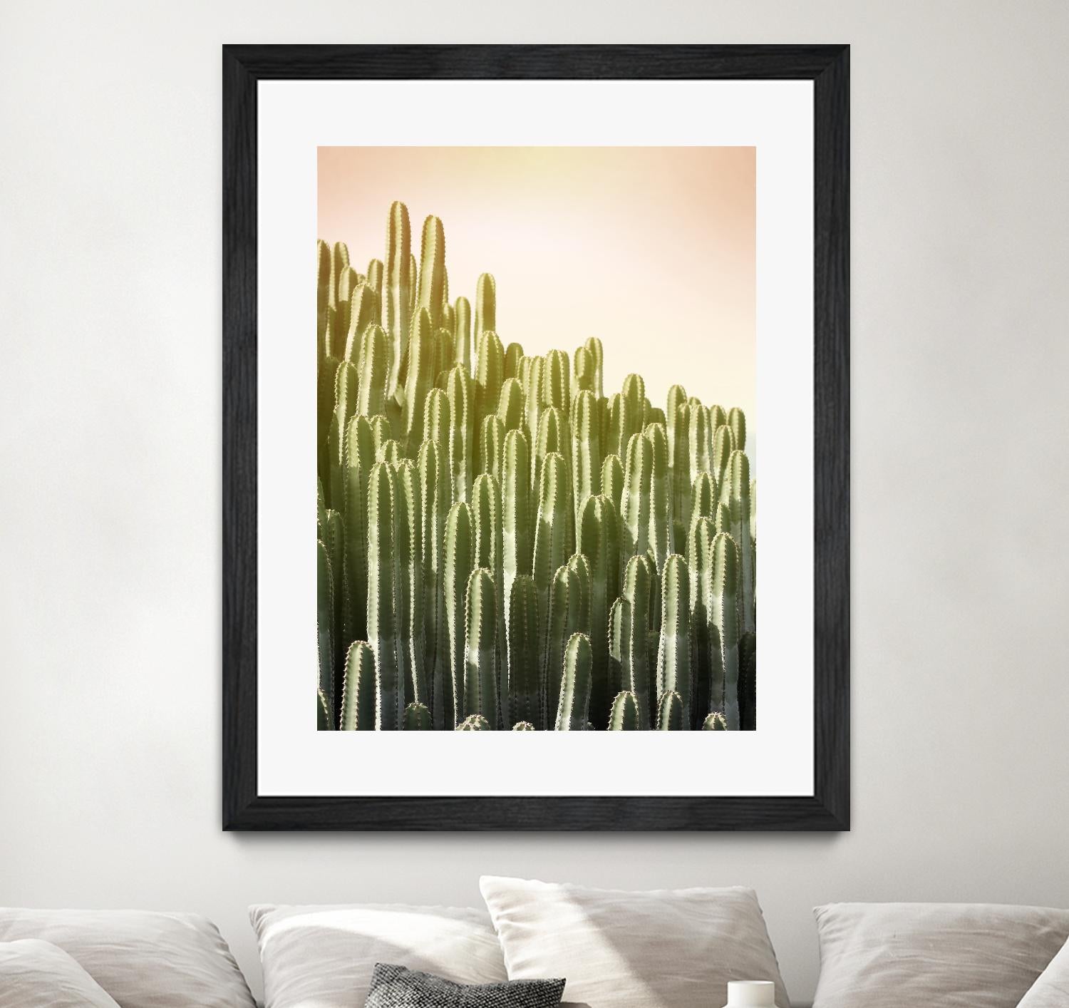 Pink Sky Cactus by Lexie Greer on GIANT ART - multicolor photography; floral/still life