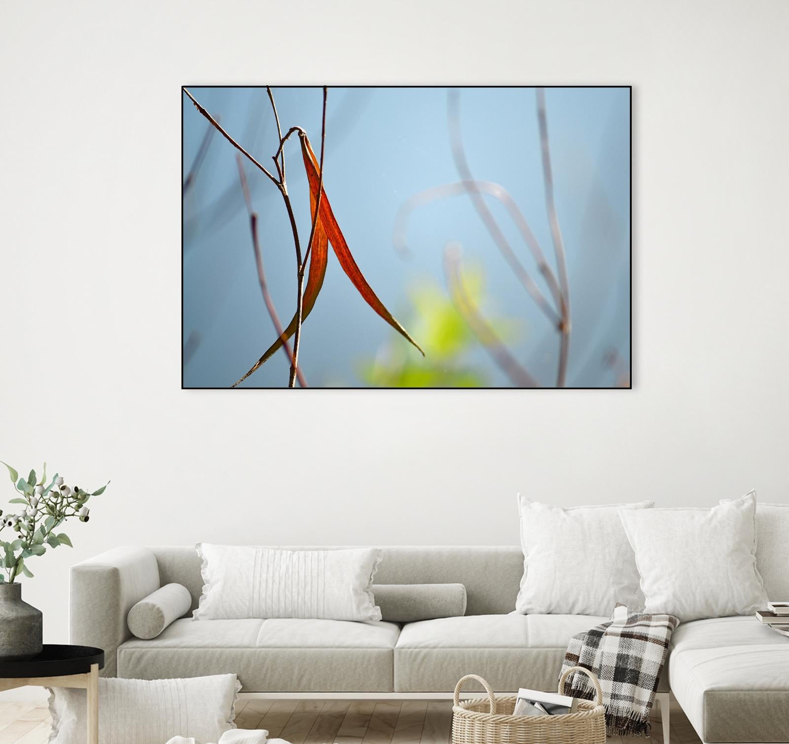 Red and Green by the River by Ulpi Gonzalez on GIANT ART - multicolor photography; floral/still life; landscapes