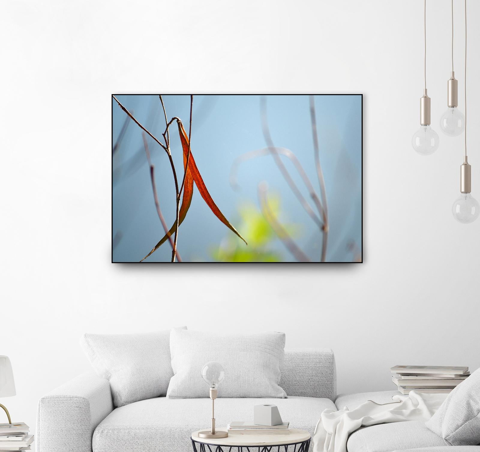 Red and Green by the River by Ulpi Gonzalez on GIANT ART - multicolor photography; floral/still life; landscapes