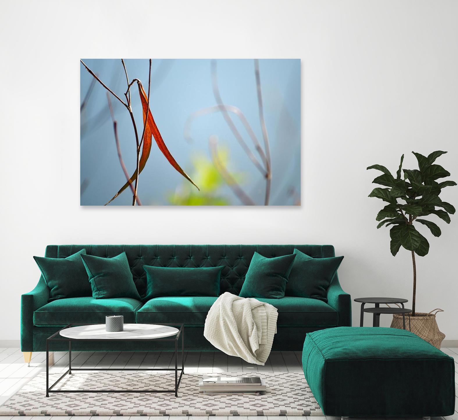 Red and Green by the River by Ulpi Gonzalez on GIANT ART - multicolor photography; floral/still life; landscapes