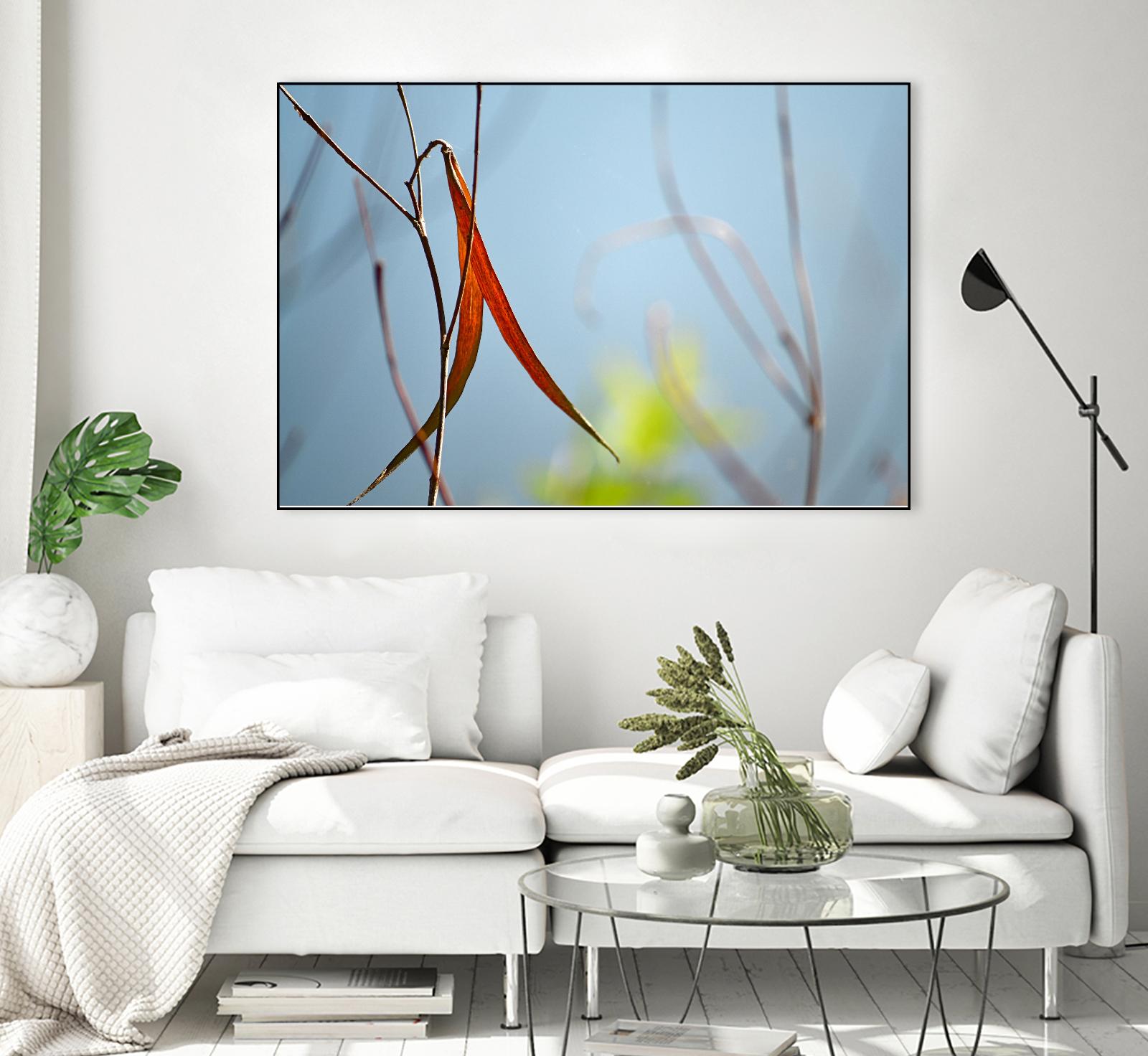 Red and Green by the River by Ulpi Gonzalez on GIANT ART - multicolor photography; floral/still life; landscapes