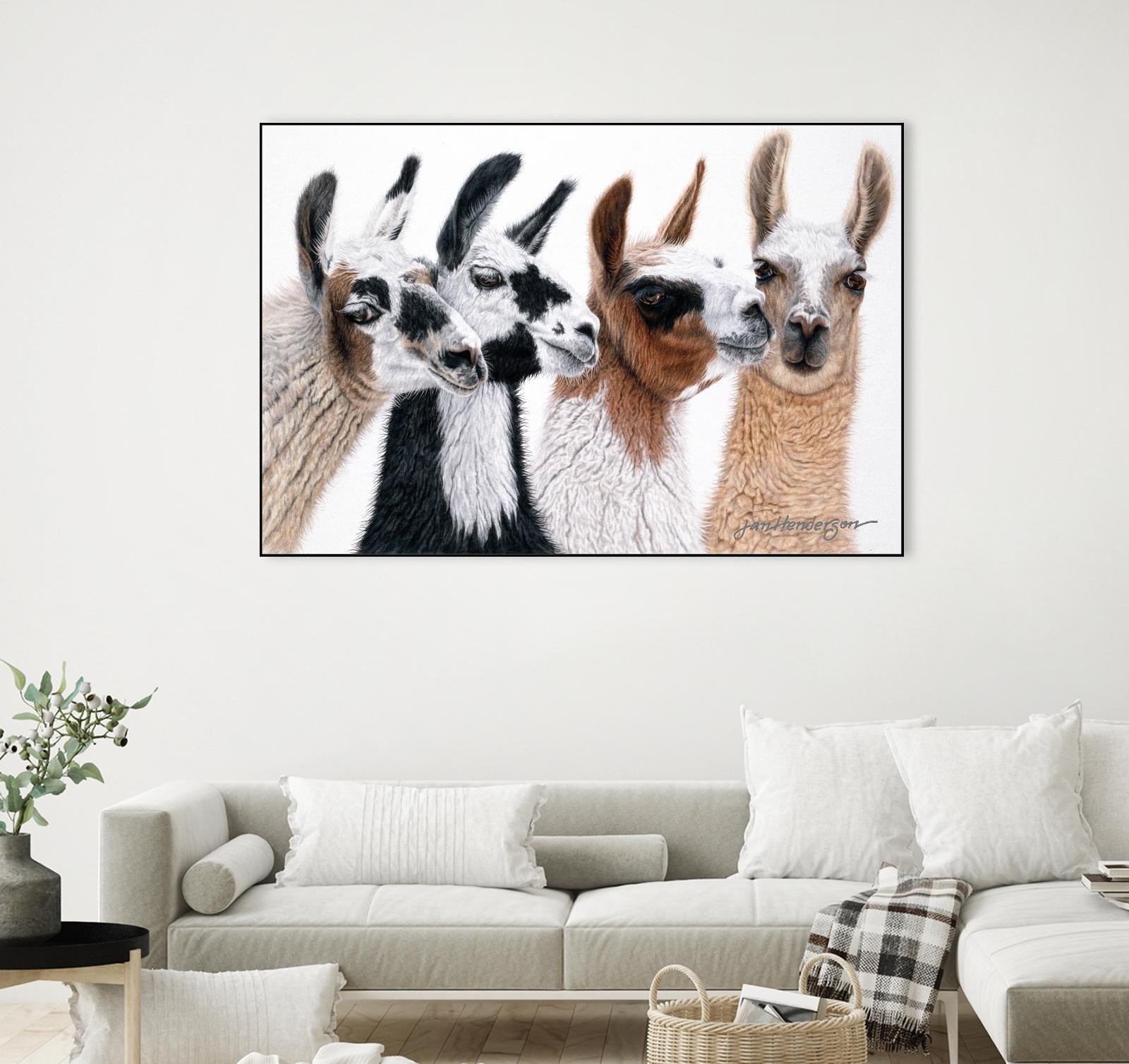 Peruvian Visitors by Jan Henderson on GIANT ART - multicolor animals; photography